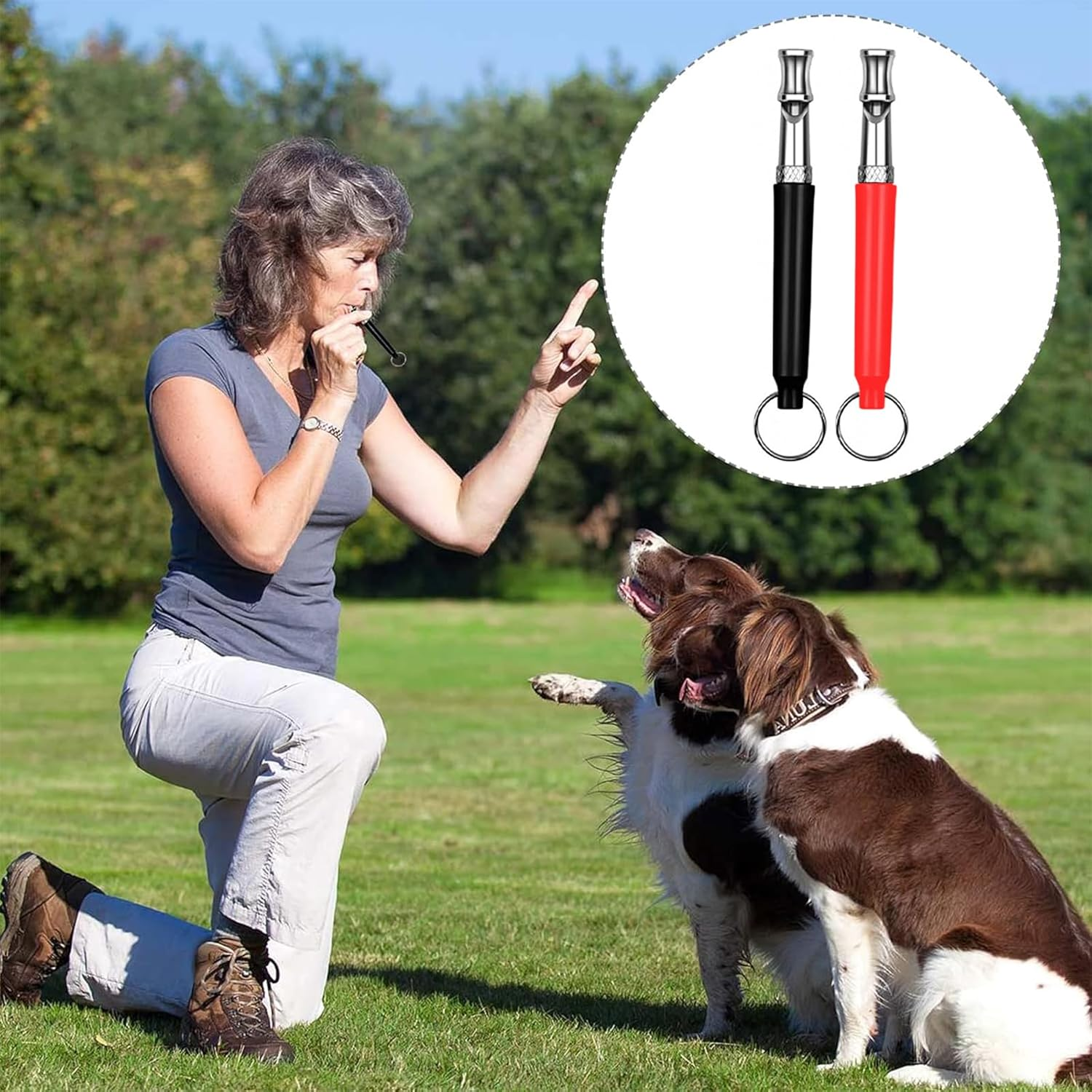 Dog Whistle, Dog Whistle for Callback, 4-Piece Professional Dog Whistle and Clicker Training Set, High Pitch Audible Dog Whistle with Lanyard and 2 in 1 Professional Training Clicker, for Dog Indoor image number 4