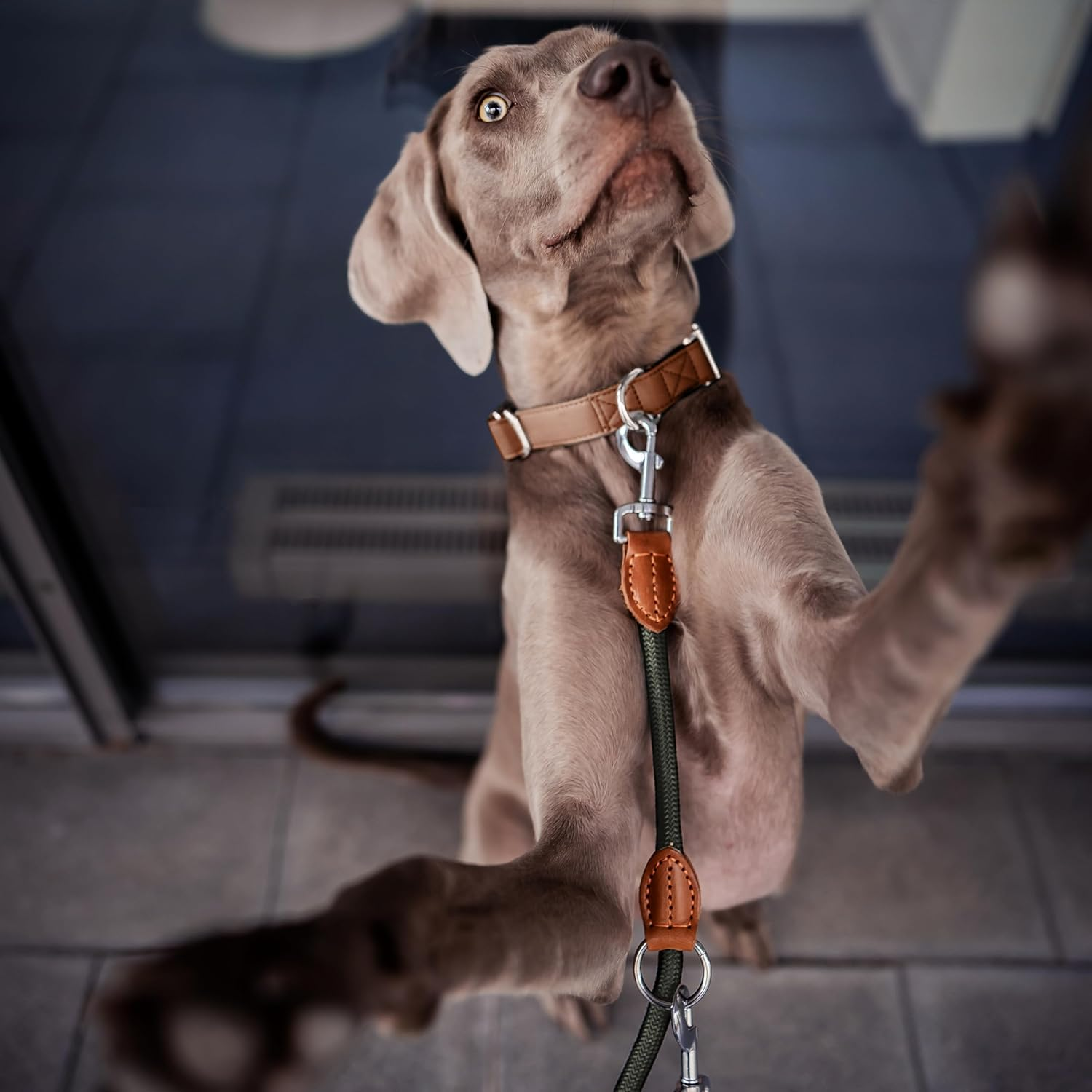 FREUDENTIER Dog Lead 2 M, 3-Way Adjustable, Robust Nylon Rounded with Stylish Brown Leather Elements, for Medium and Large Dogs (Forest Green) - Green image number 2