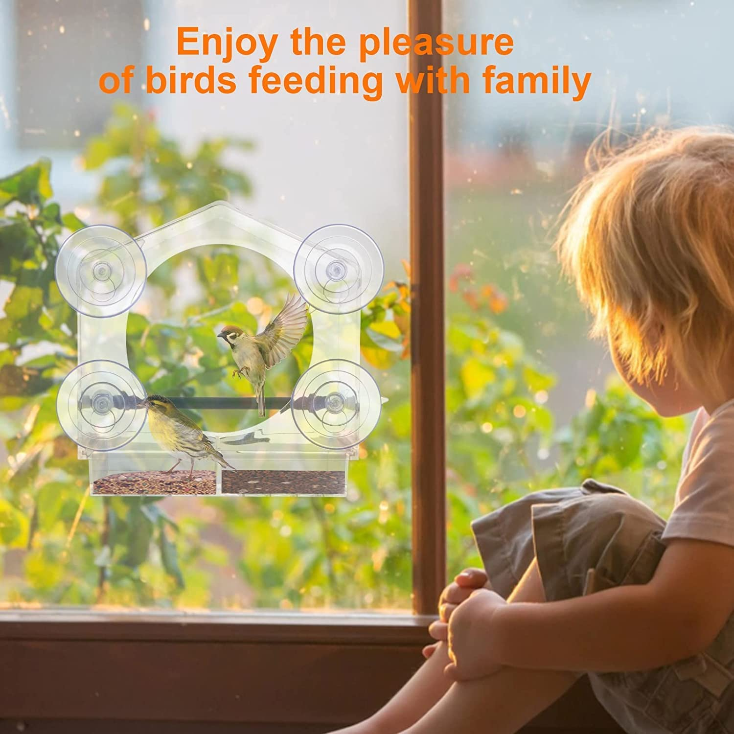 Window Bird Feeder, Bird Feeders for outside Hanging, Window Feeders for Birds with Strong Suction Cups, Bird House Shape D&eacute;cor, Fits for Finches,Cardinals,Chickadees Etc. image number 6