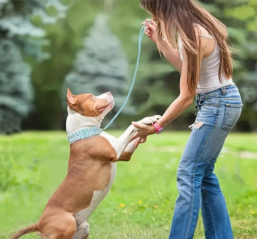 Pet Collar Rivet Studded Adjustable Necklace for Puppy Small Medium Dogs (Baby Blue, M) image number 2