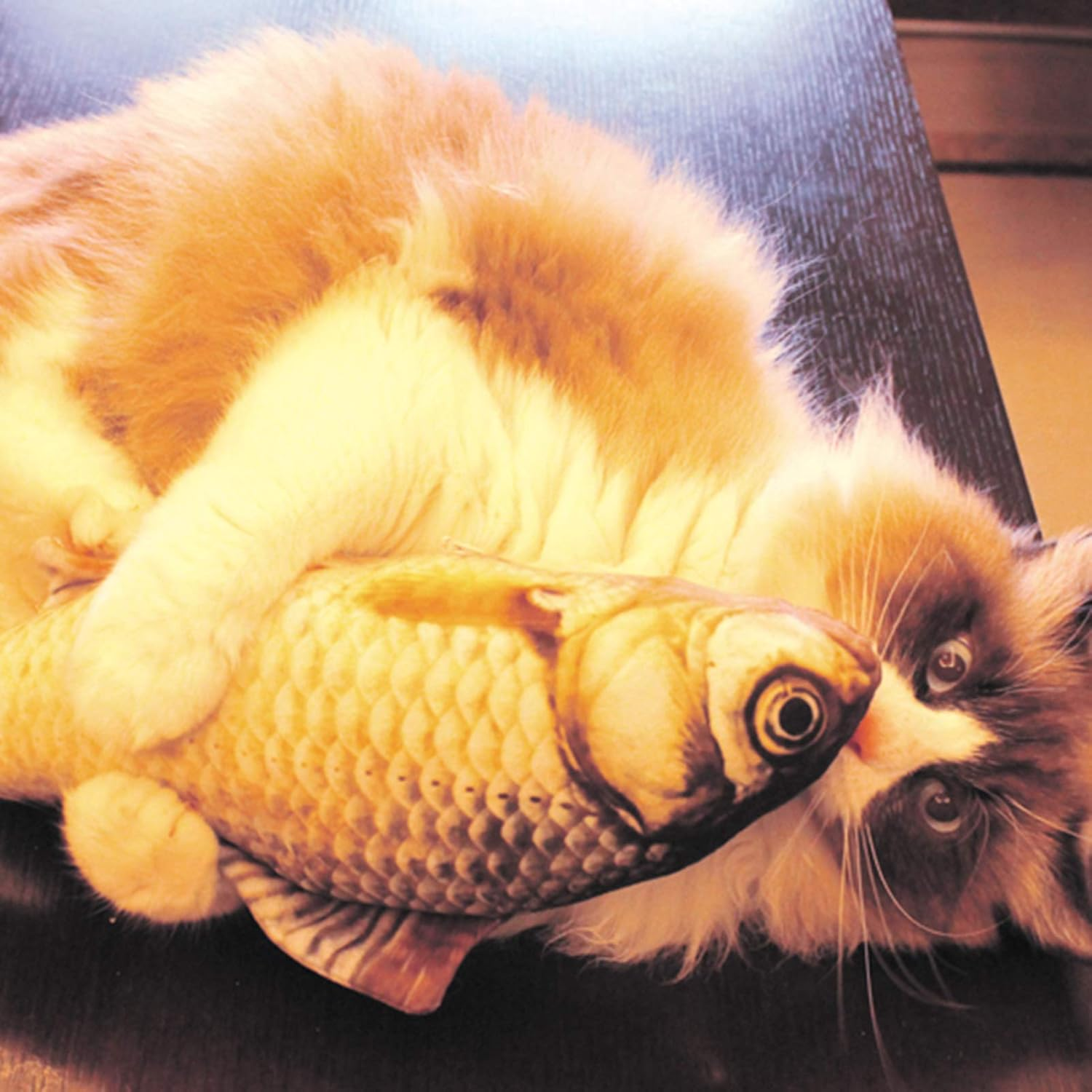 REFENG Realistic Plush Simulation Doll Fish, Funny Interactive Pets Chew Bite Supplies for Cat/Kitty/Kitten Fish Flop Cat Toy Catnip Toys image number 5