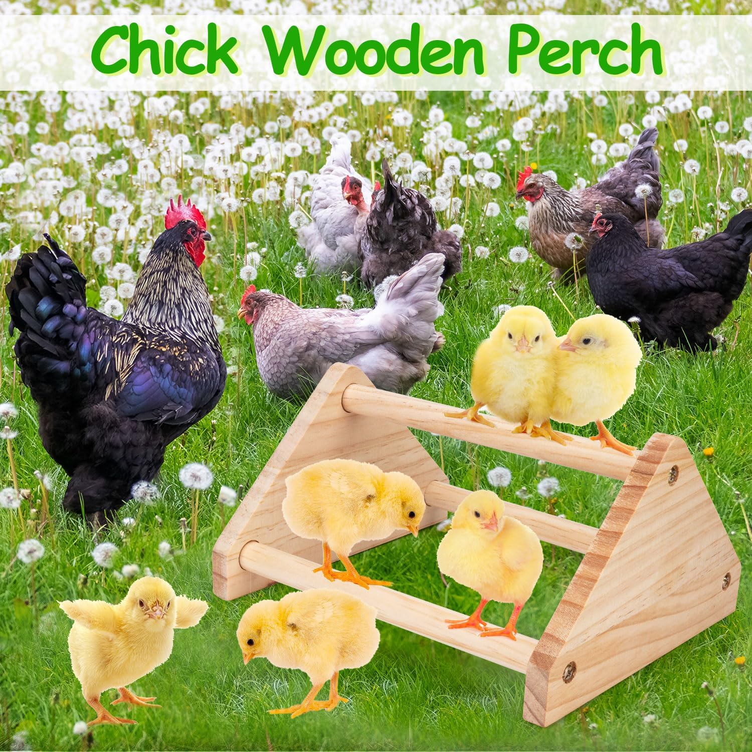 Chicken Perch Stand, 2PCS Pine Chicken Roosting Bars for Coop and Brooder, Training Perch Chick Perch Fun Toys for Baby Chicks, Parakeets, Parrots image number 5