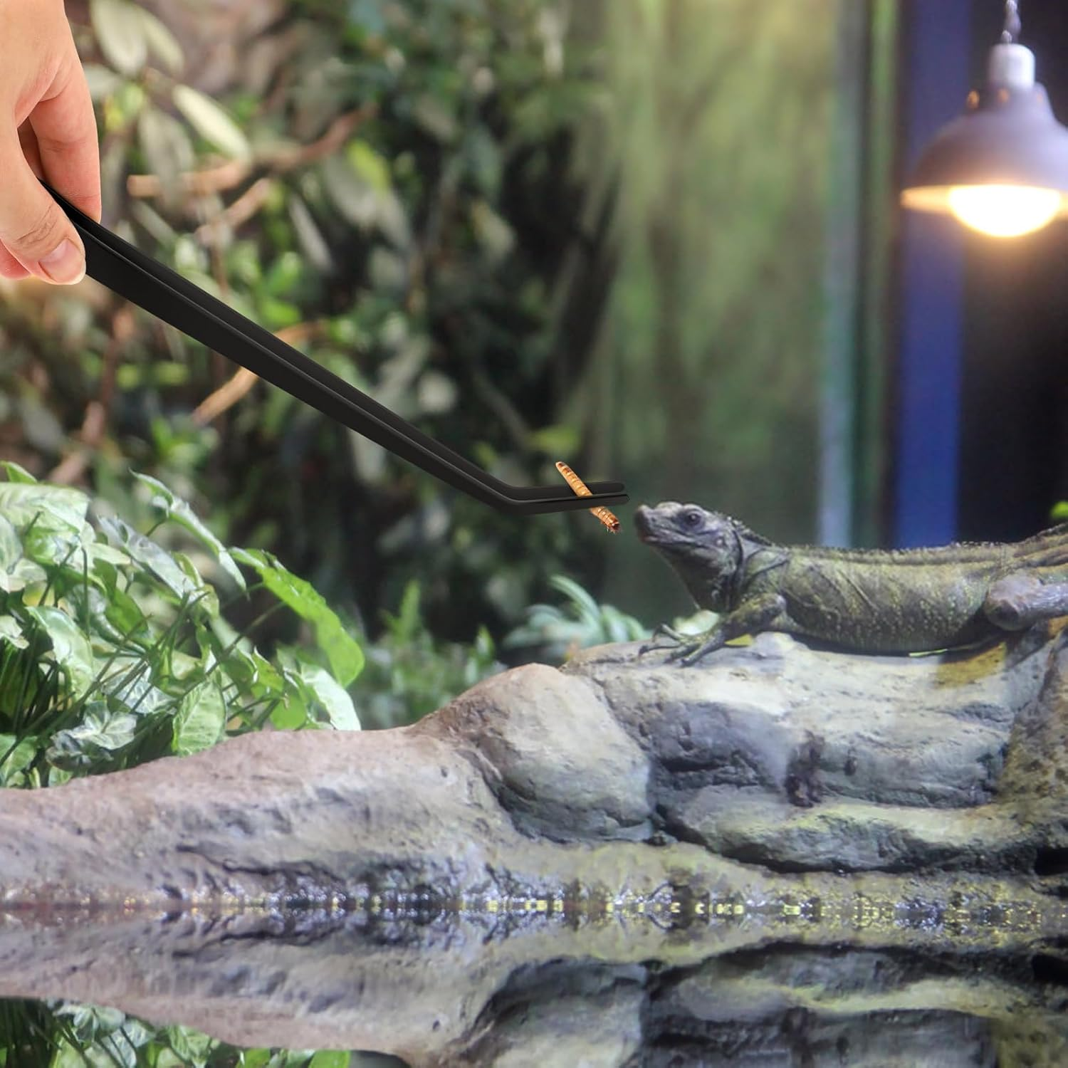 38Cm Extra-Long Aquarium Tweezers, Set of Straight and Curved Stainless Steel Tweezers, Extra-Long Aquarium Tweezers, Aquascaping and Fish Tank Feeding Tools image number 6