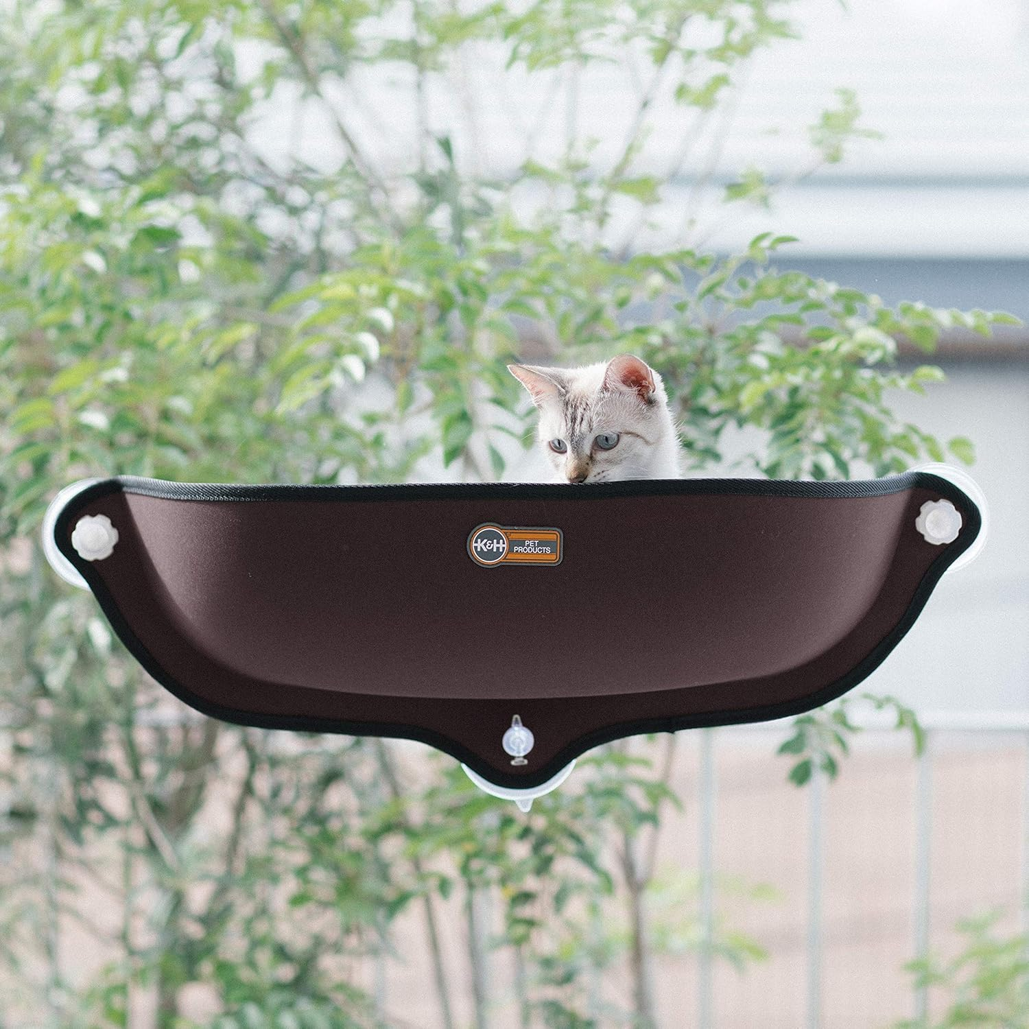 K&H Window Bed Kitty SILL GREY/KHBD6295GR/WINDOW 6295GR/WINDOW Bed Suction CAT Bed Screw Bed Suction CAT Bed Suction CAT Bed Grey/Screw CAT Bed Suction CAT Bed Grey CAT Bed