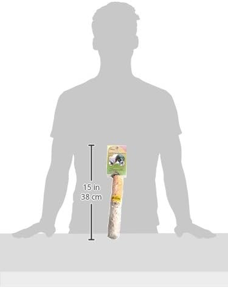 Polly'S Bird Perch, Large image number 4