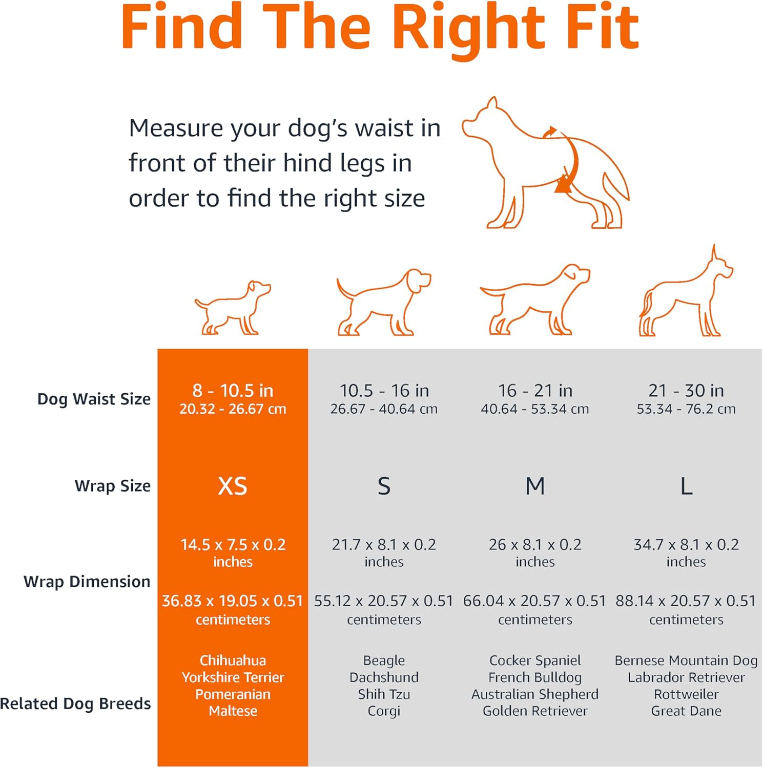 Amazon Basics Male Dog Wrap, Disposable Diapers, X-Small, Pack of 30, White image number 4