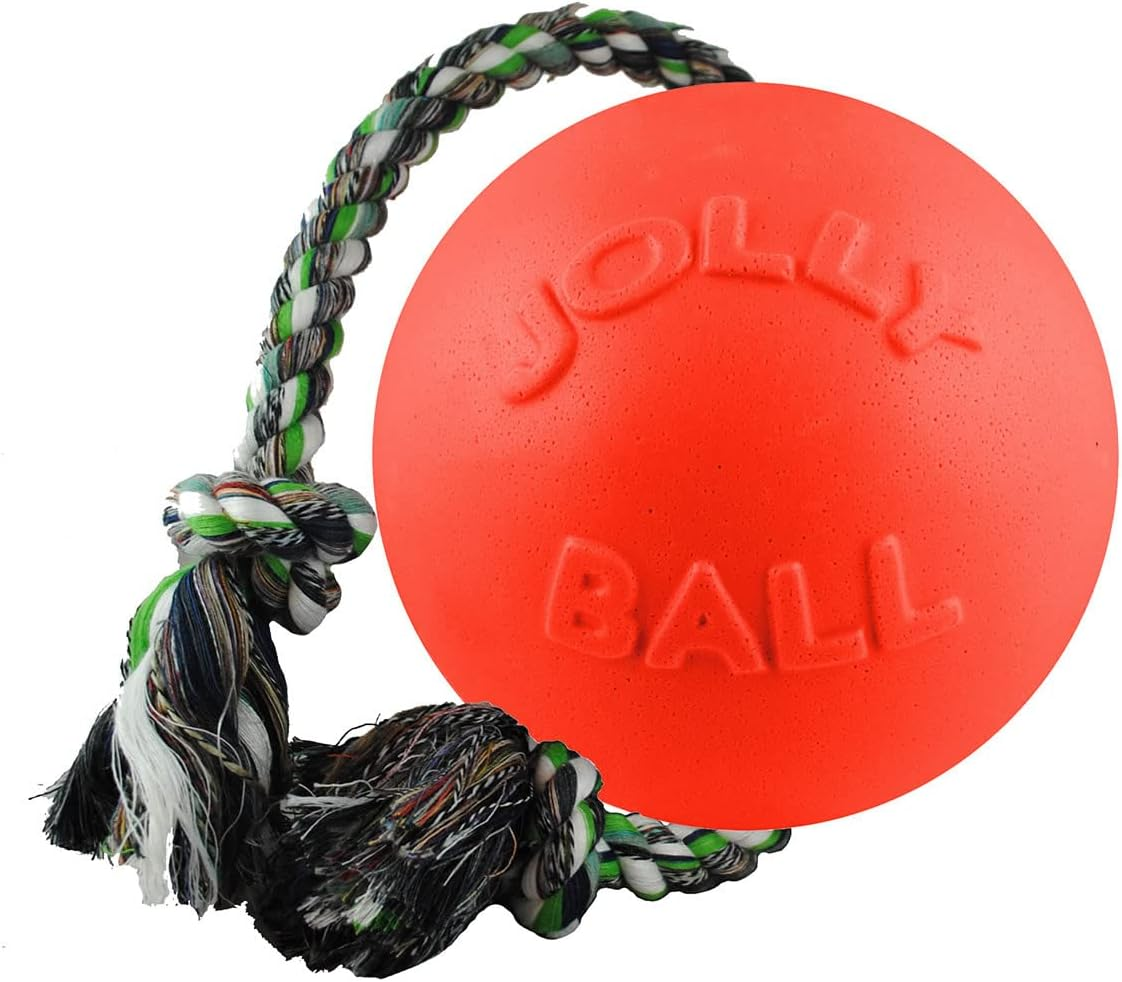Jolly Pets Romp-N-Roll Rope and Ball Dog Toy, 8 Inches/Large, Orange