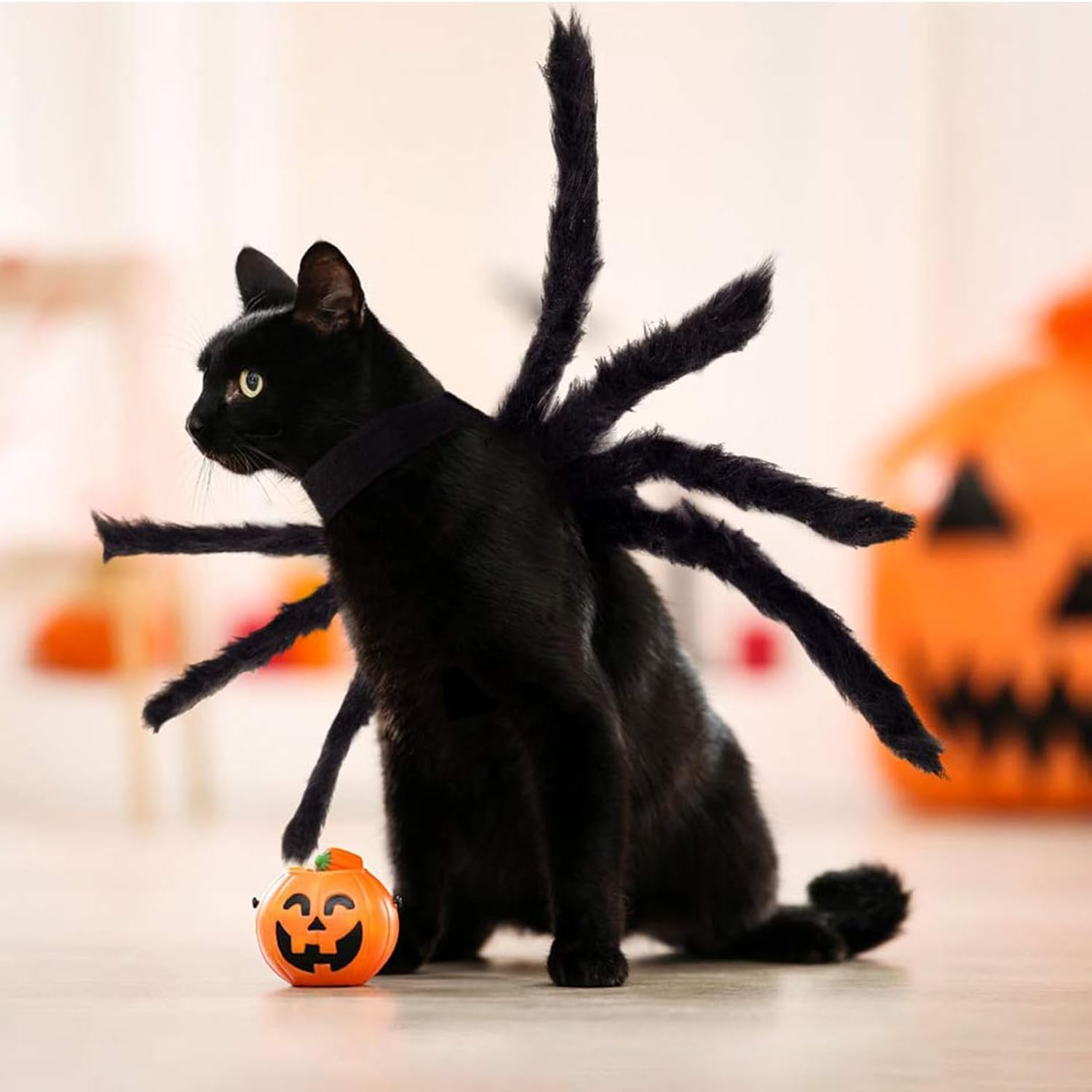 Halloween Spider Costume, Pet Decorations, Decor Party Supply, Cosplay Costumes with Adjustable Velcro, Cosplay Costumes for Small-Medium Dogs & Cat, Puppy Dress up Accessories Black image number 1