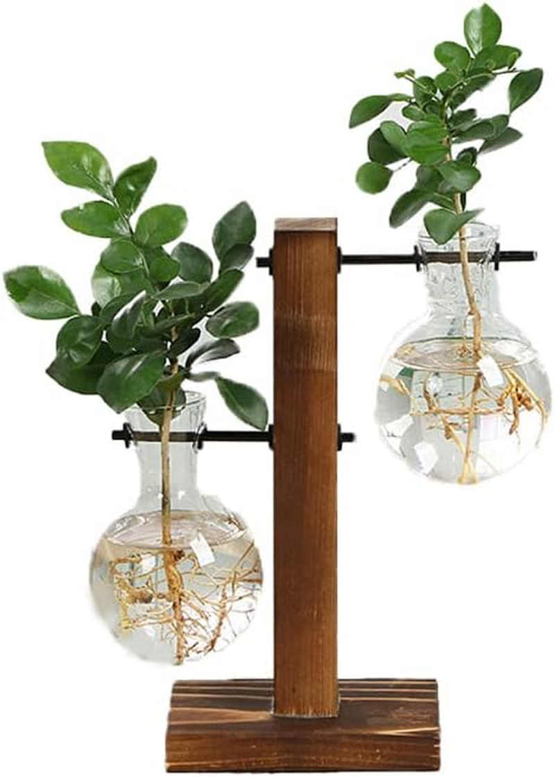 Wooden Stand Glass Flower Vase Hydroponic Hanging Plant Terrarium Container, Modern Hanging Flower Container