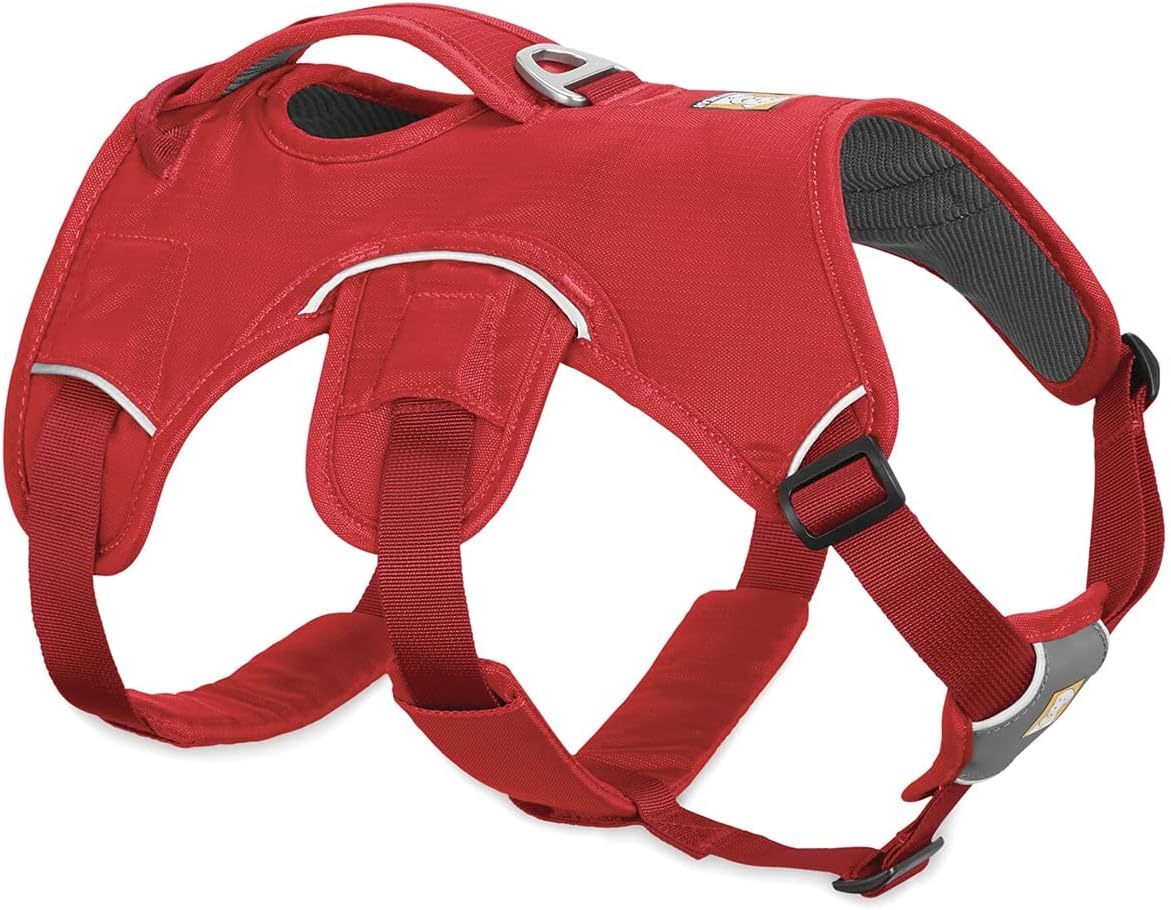 RUFFWEAR Multipurpose Dog Harness with Handle, Web Master Adjustable Harness, 2 Leash Attachments, Everyday Use, Blaze Orange, XXS