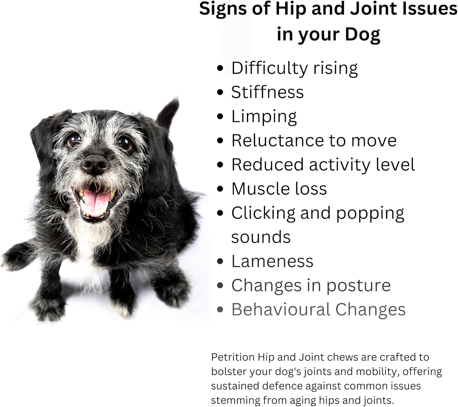 Hip & Joint Support - Glucosamine for Dogs Soft Chews, Joint Supplement with Glucosamine, Omega 3 & 6, MSM, Turmeric, anti Inflammatory, Support + Mobility 120 Soft Chews image number 2