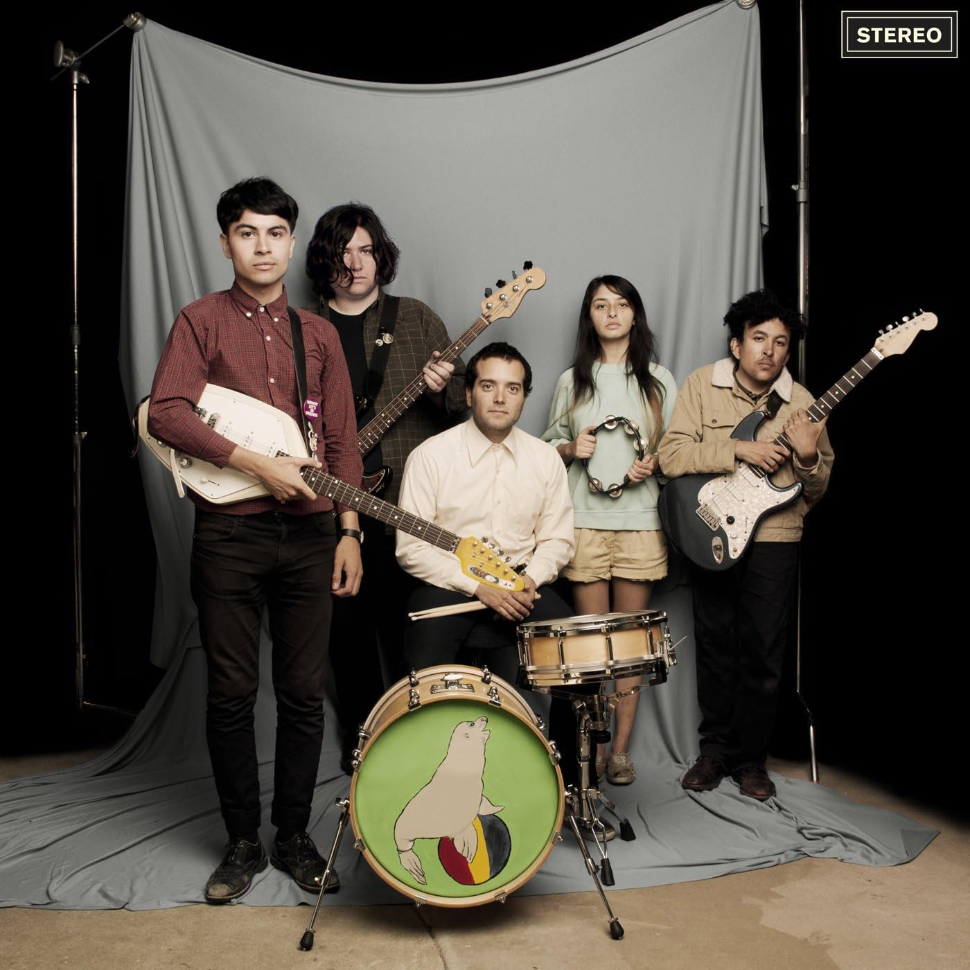 Everything You Always Wanted to Know about the Sea Lions but Were Afraid to Ask image number 1