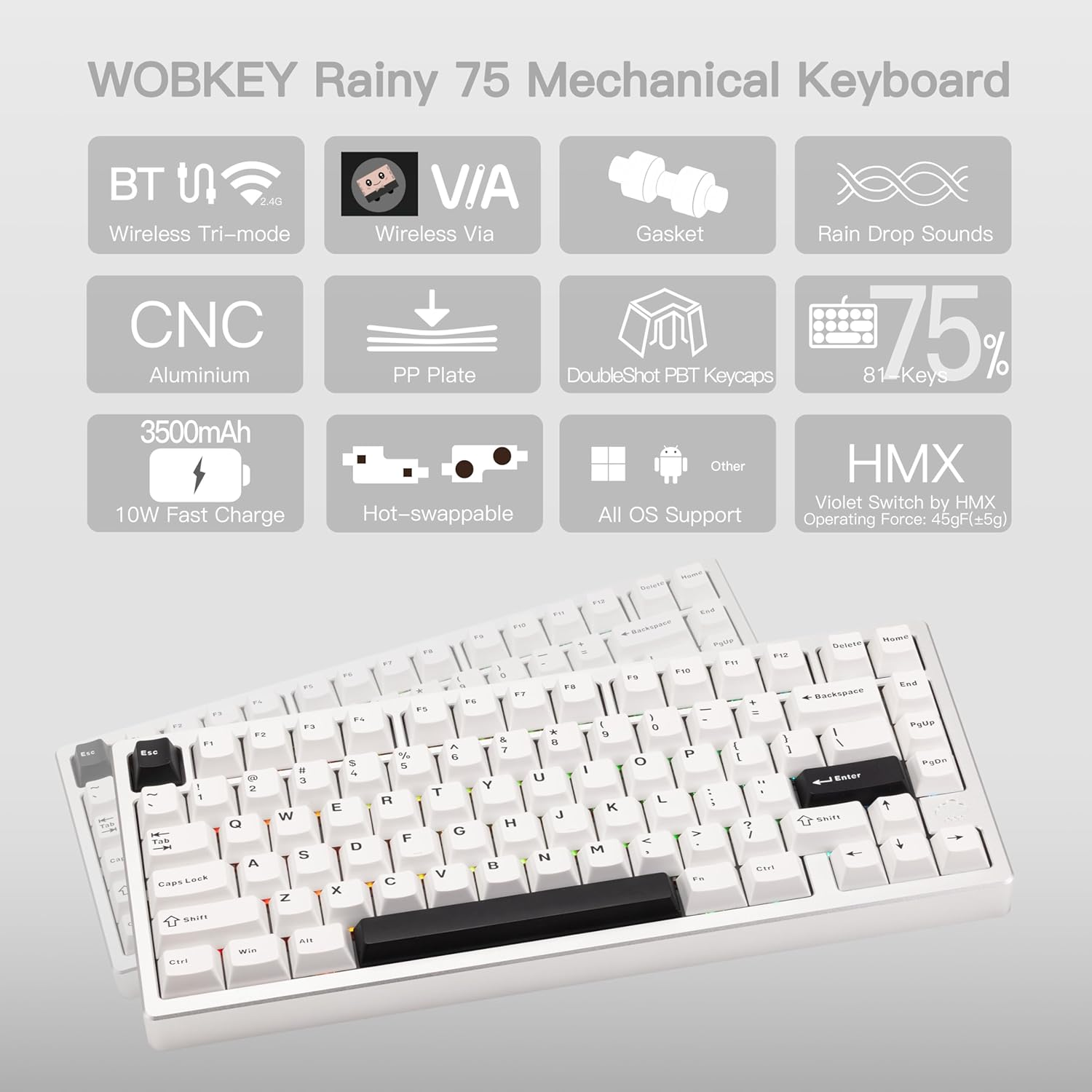KEEBMONKEY WOBKEY Rainy 75 Aluminum HMX/JWK Switches Mechanical Keyboard with Superior Acoustics, Wired, BT, 2.4G Wireless Connectivity (Standard - Silver) image number 5
