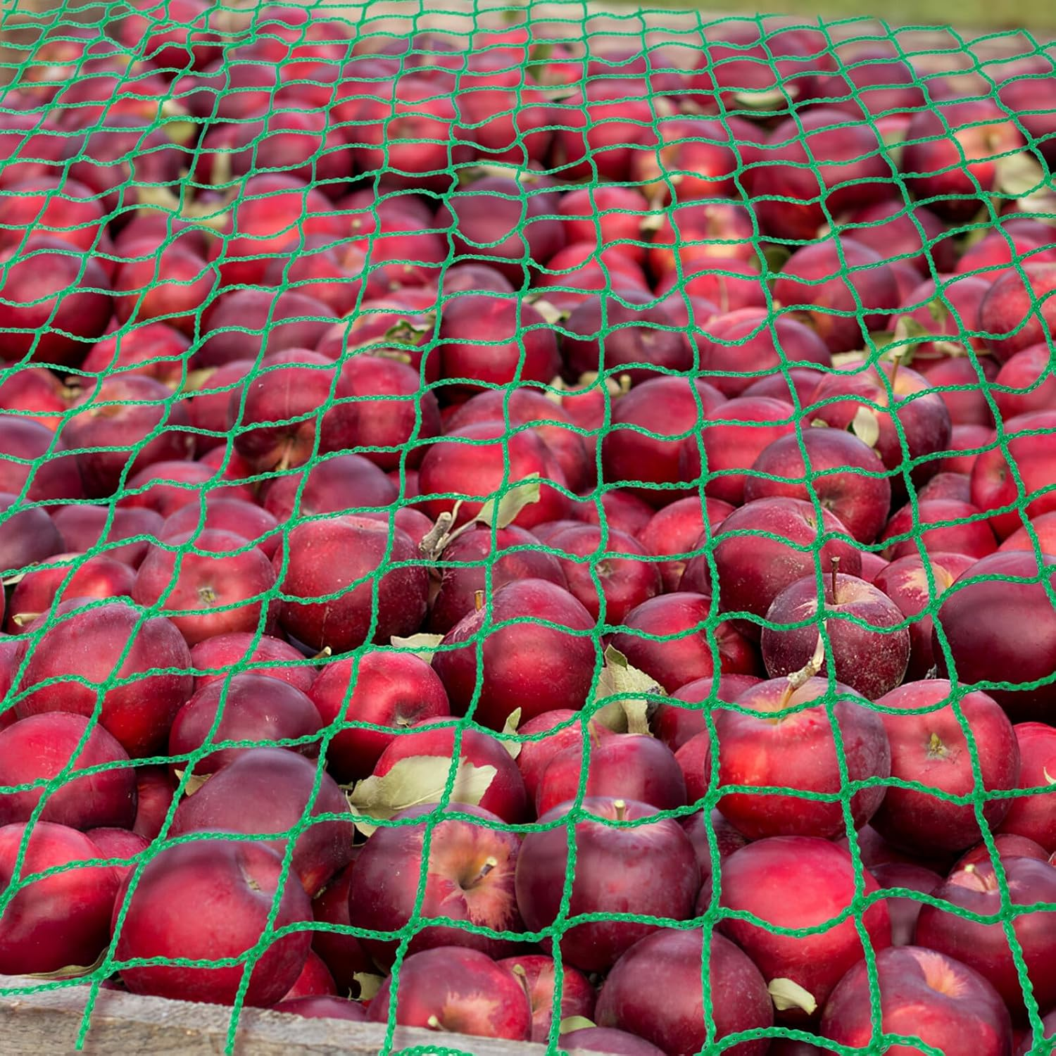 Iplusmile Vehicle Body Fall Net Heavy-Duty Bungee Cord and Hooks Nylon Material for Pickup Truck Bed image number 6