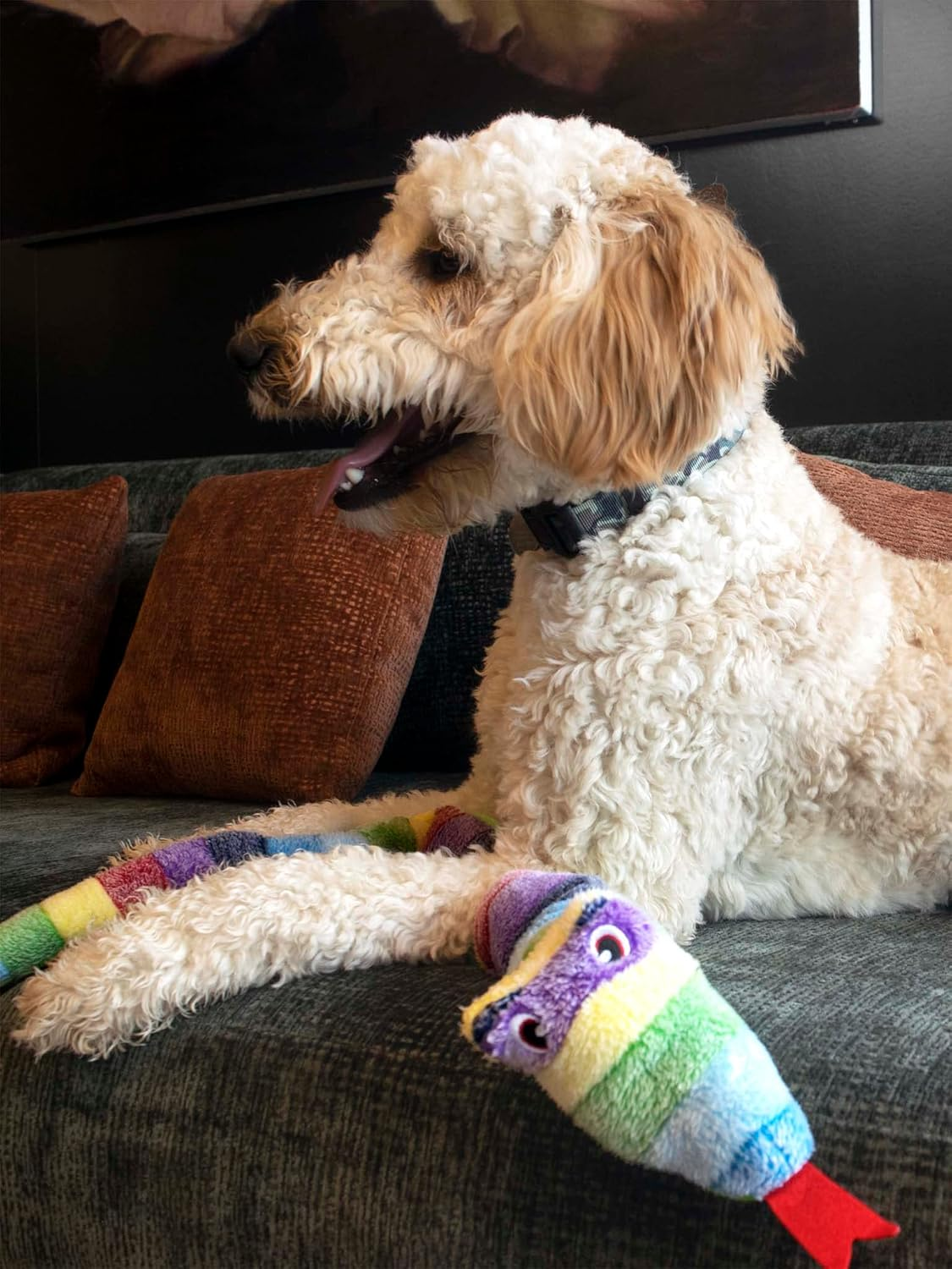 Bow Wow Pet Squeaky Snake Dog Toy - Tug, Fetch & Teasing Toy - 35 Inches image number 6