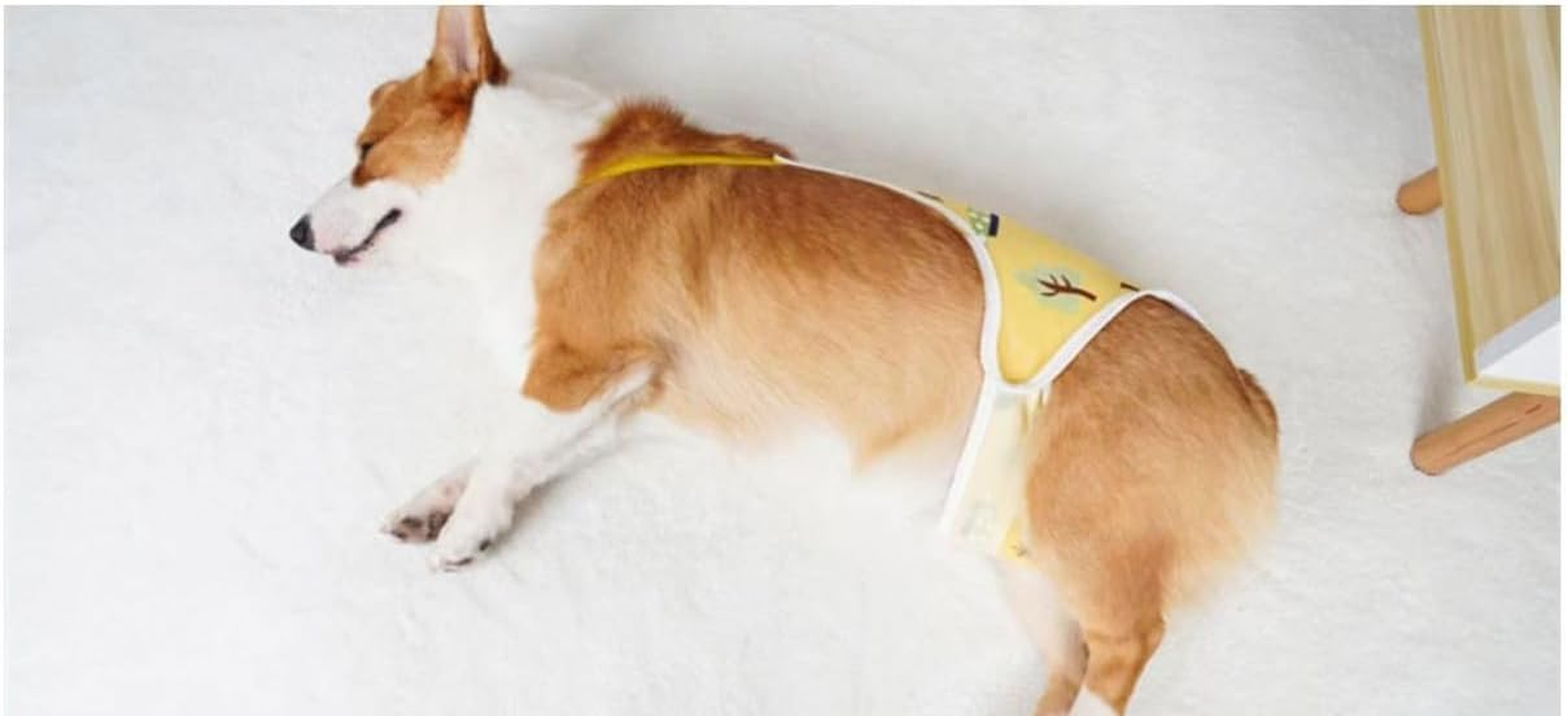 Dog Diapers Female Washable Sanitary Pantie with Adjustable Suspender, Reusable Doggie Period Panties, Pet Underwear Diaper Jumpsuits for Male Dogs in Heat, Puppy Diapers for French Bulldog (S) image number 6