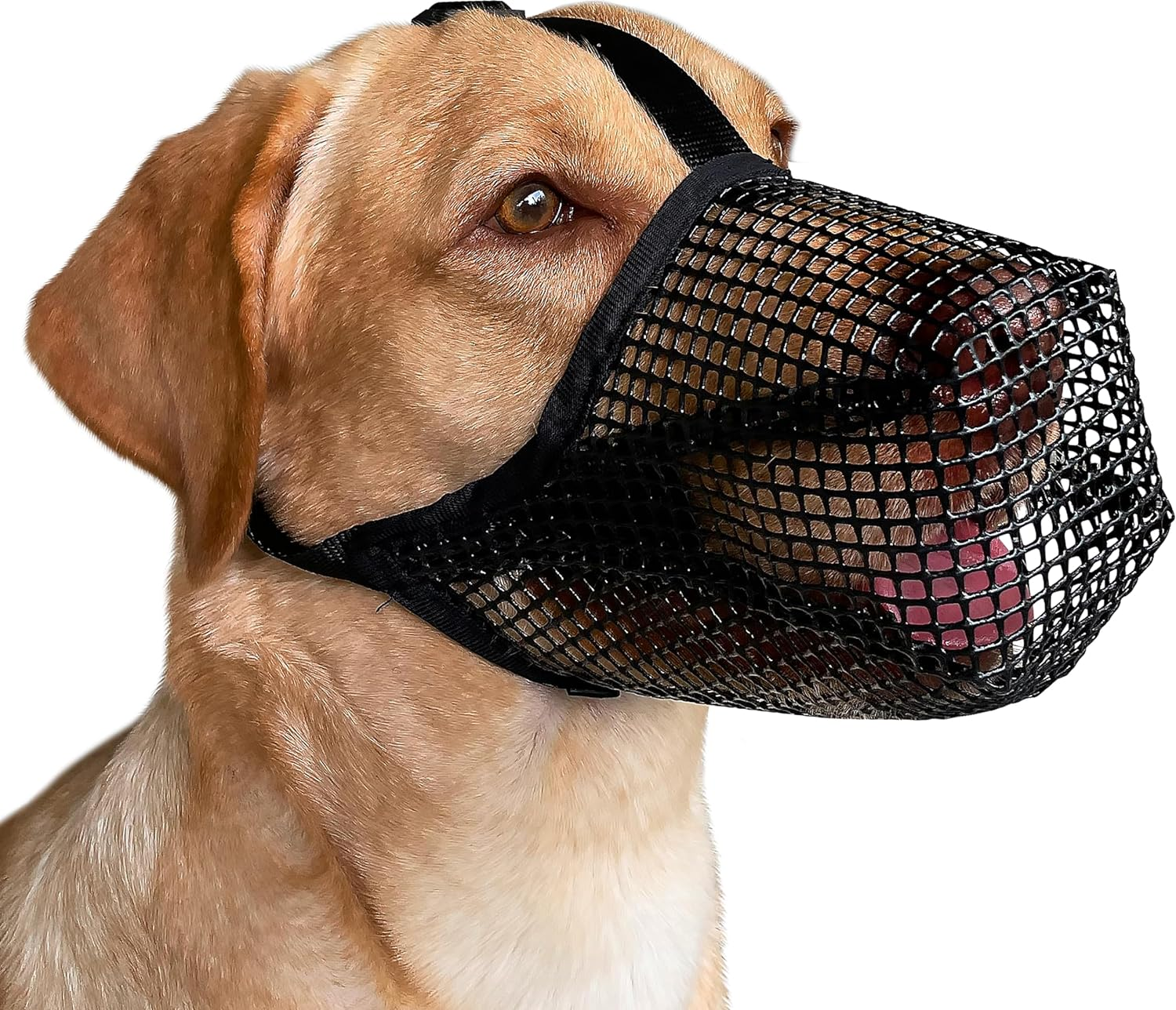 Dog Muzzle, Soft Mesh Covered Muzzles for Small Medium Large Dogs, Poisoned Bait Protection with Adjustable Straps, Prevent Biting Chewing and Licking (XL)