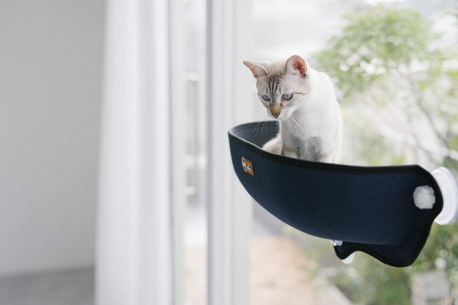 K&H Window Bed Kitty SILL GREY/KHBD6295GR/WINDOW 6295GR/WINDOW Bed Suction CAT Bed Screw Bed Suction CAT Bed Suction CAT Bed Grey/Screw CAT Bed Suction CAT Bed Grey CAT Bed image number 5