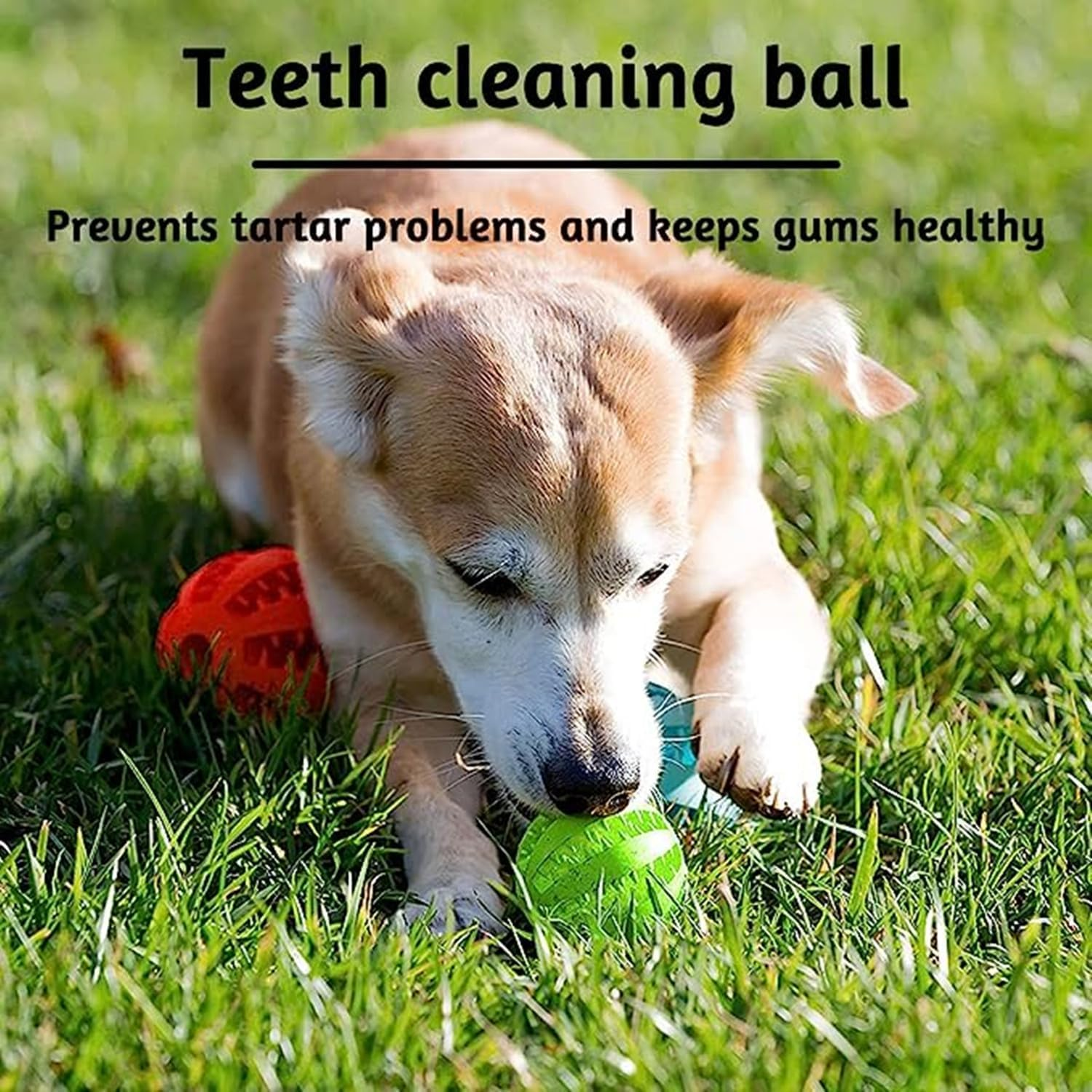 3 Pieces Dog Toys for Boredom Interactive 5Cm Treat Dispenser,Teeth Cleaning Chew Toy Exercise Game IQ Training Ball, Nontoxic and Durable Dog Products for Indoor Puppy Cat (Red, Blue, Green) image number 2