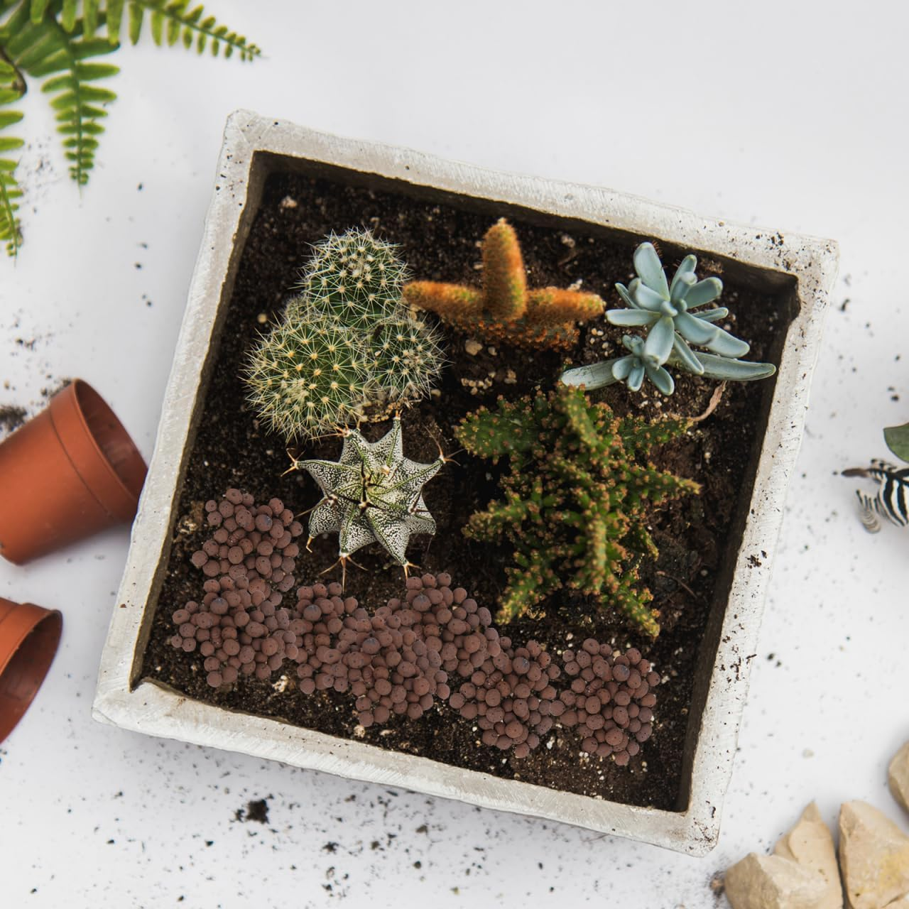 Garneck for Orchid Planting - Breathable Indoor Potting Soil - Lightweight Growing Medium for Healthy Roots Ideal for Home Decor and Garden Use 2L Bag