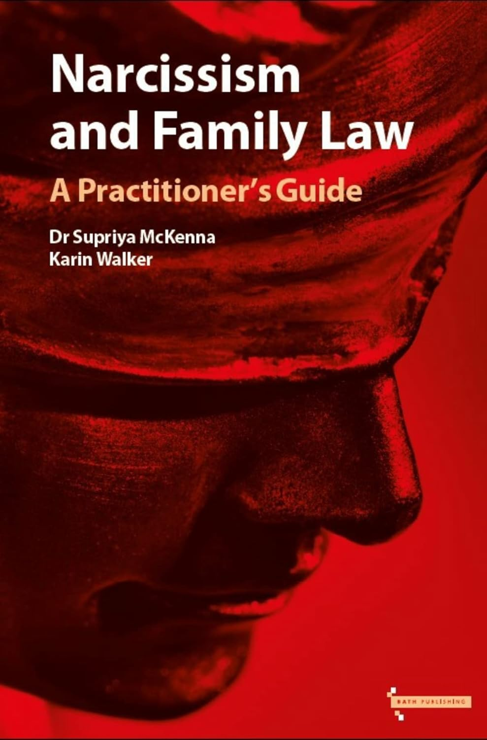 Narcissism and Family Law: a Practitioner'S Guide image number 1