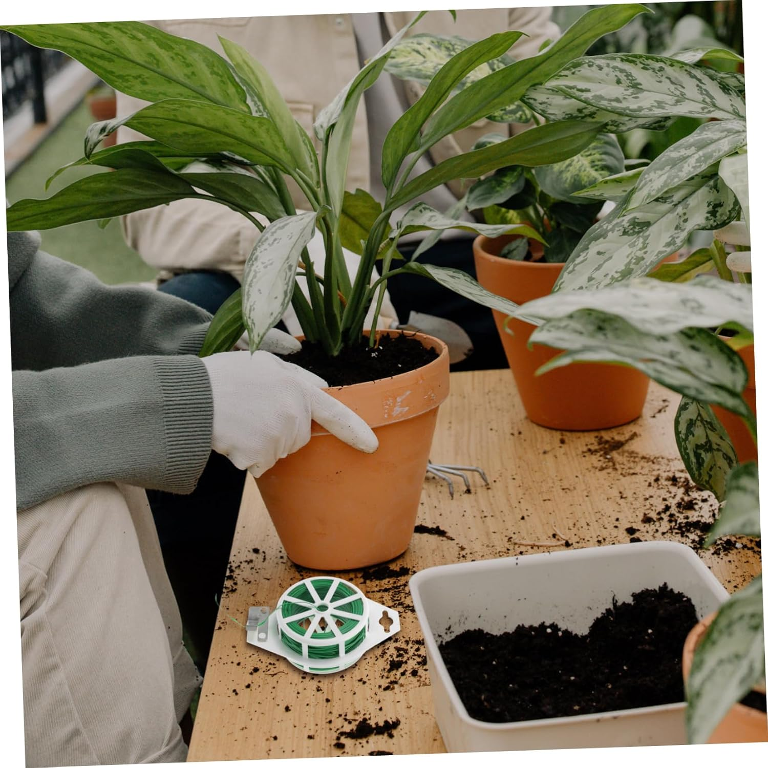 BEBEMOKO Garden Plant Ties of Reusable Twine Straps Cutting Tool Weatherproof Plant Fixing Cables for Gardening