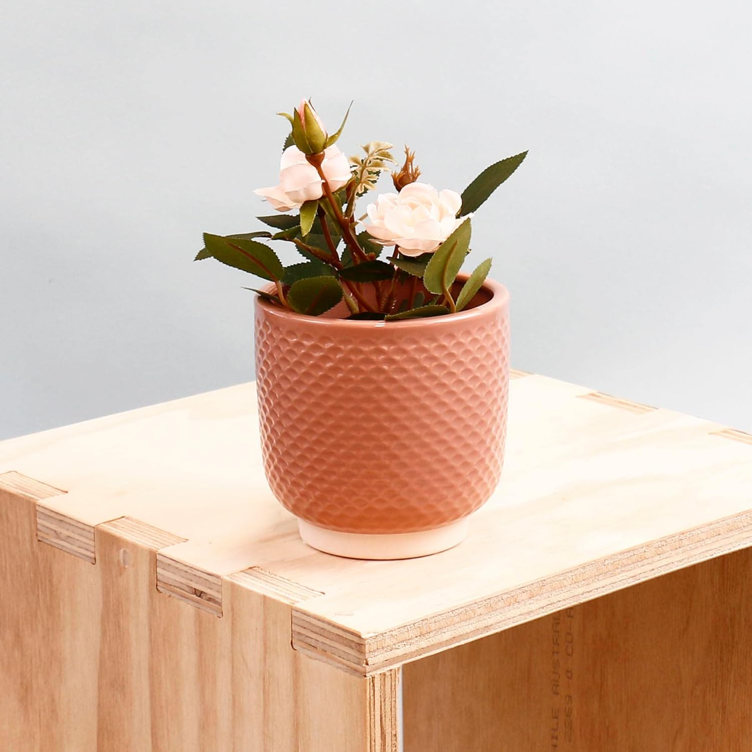 Sill and Sage Shell Pot, Blush, Small image number 1