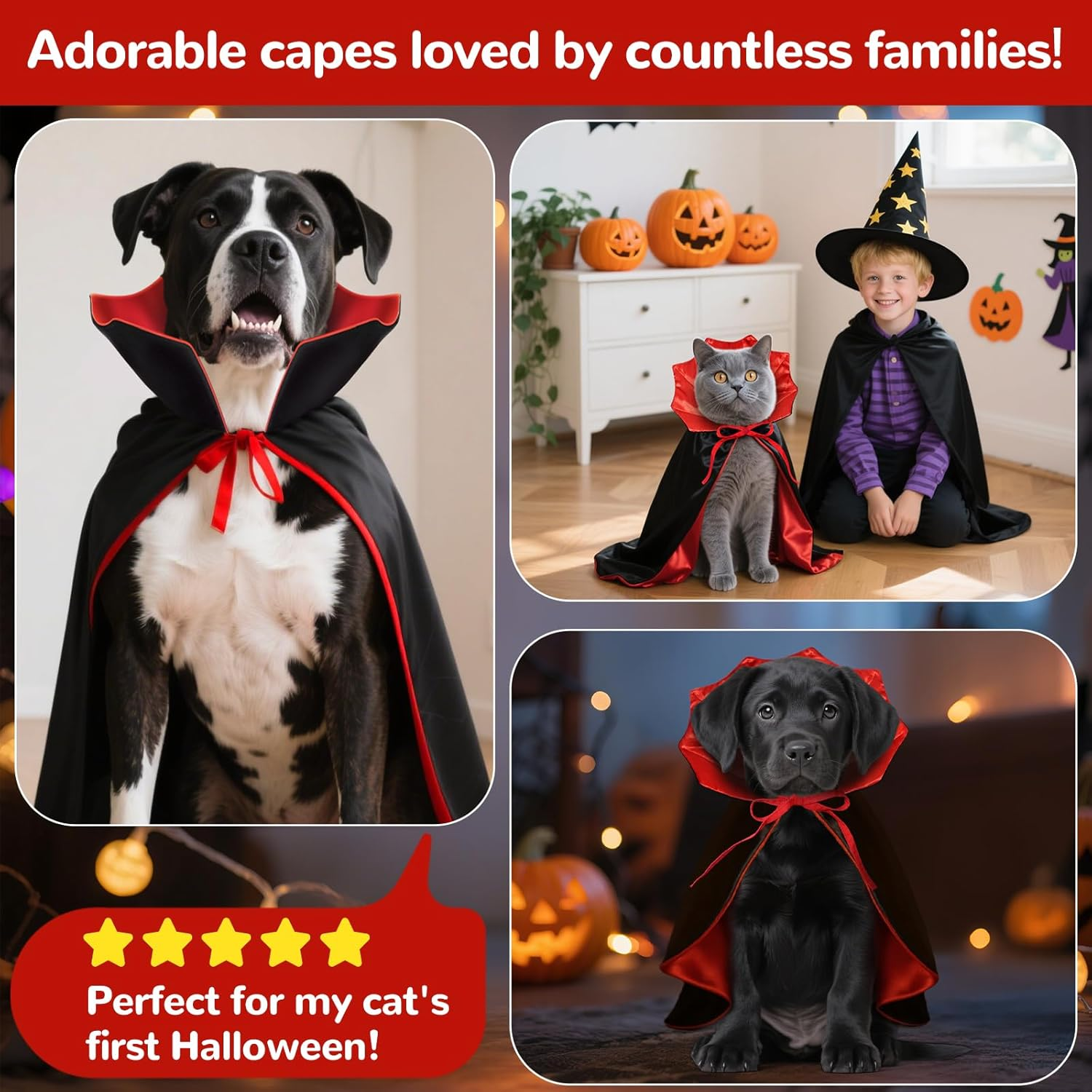 HSSPYY Halloween Dog Cape M (50Cm) &ndash; Vampire Cloak with Stand-Up Collar for Medium Dogs, Double Secure Fit (Neck & Chest), Durable & Comfortable Costume for Halloween Parties & Photos image number 3