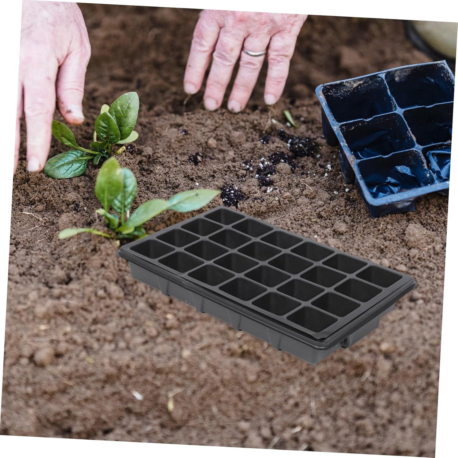 2Pcs Black Plastic Nursery Tray with 24 Holes and Ventilated Lid, Seedling Germination Container for Garden Planting and Hydroponic Seed Starting image number 3