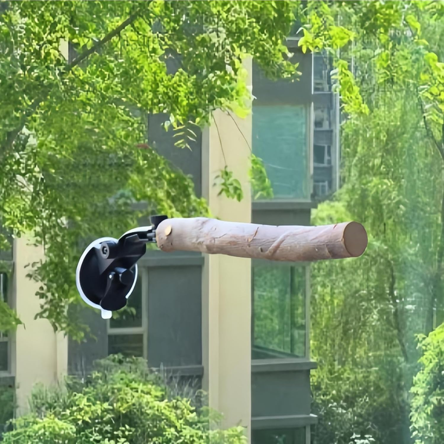 Suction Cup Bird Perch | Adjustable Stand Toy for Training,Wood Window Suction Cup Bird Perch Toy | for Balcony Apartment Patio Porch Tree Shower Wall Mirror image number 4