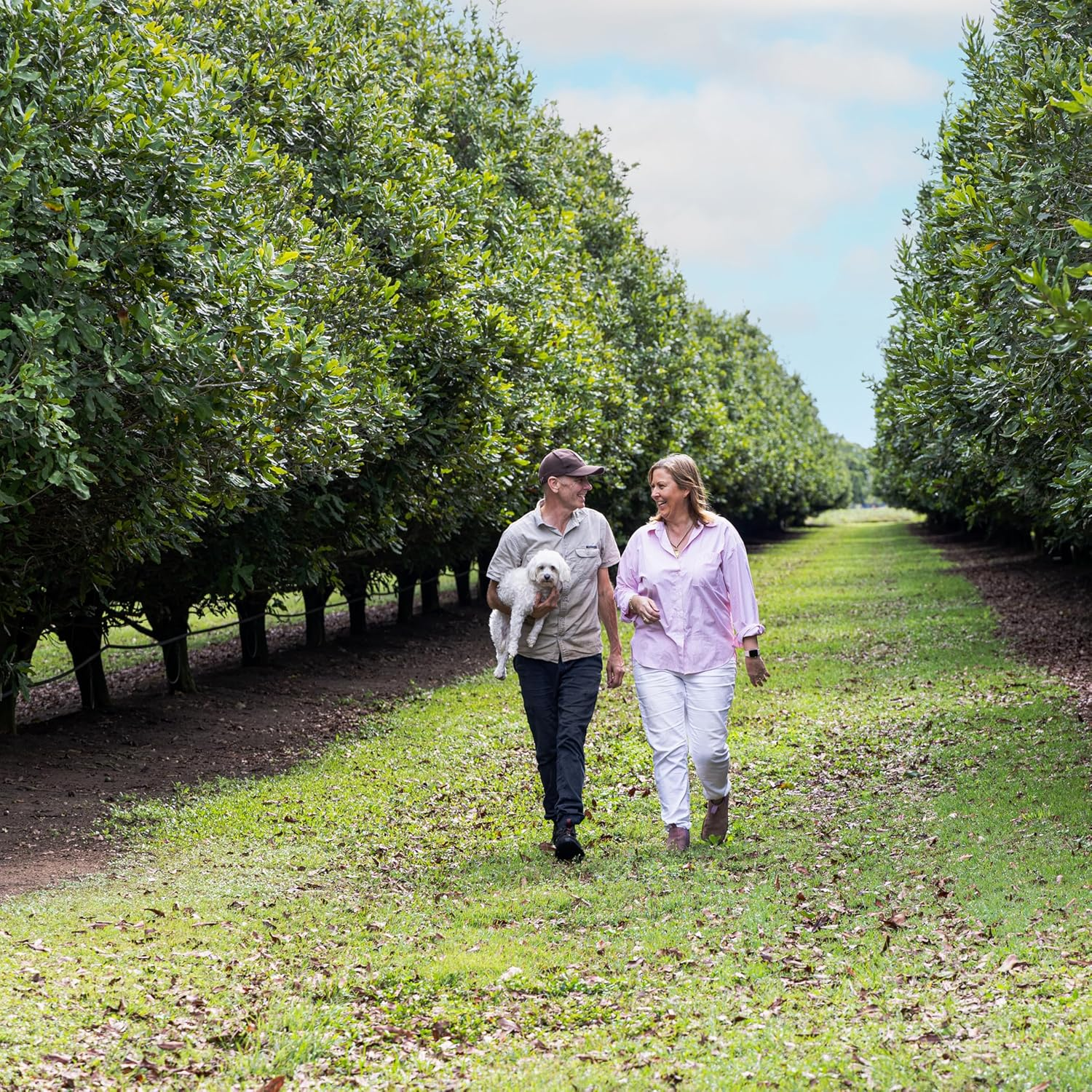 Golden Crunch Vanilla Macadamias 225G X 3 Packs