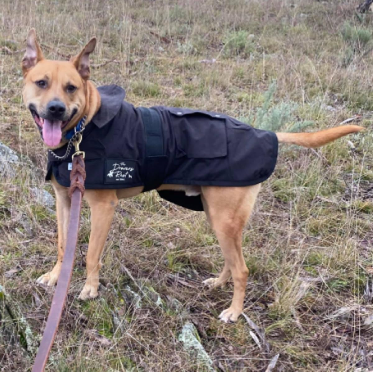 DROVERS Dog and Co Oilskin Coat. Waterproof, Windproof Dog Winter Jacket with Fleece Lining Adjustable Tummy Strap, Two Pockets for Adventure Ready Pets. (35Cm) image number 1