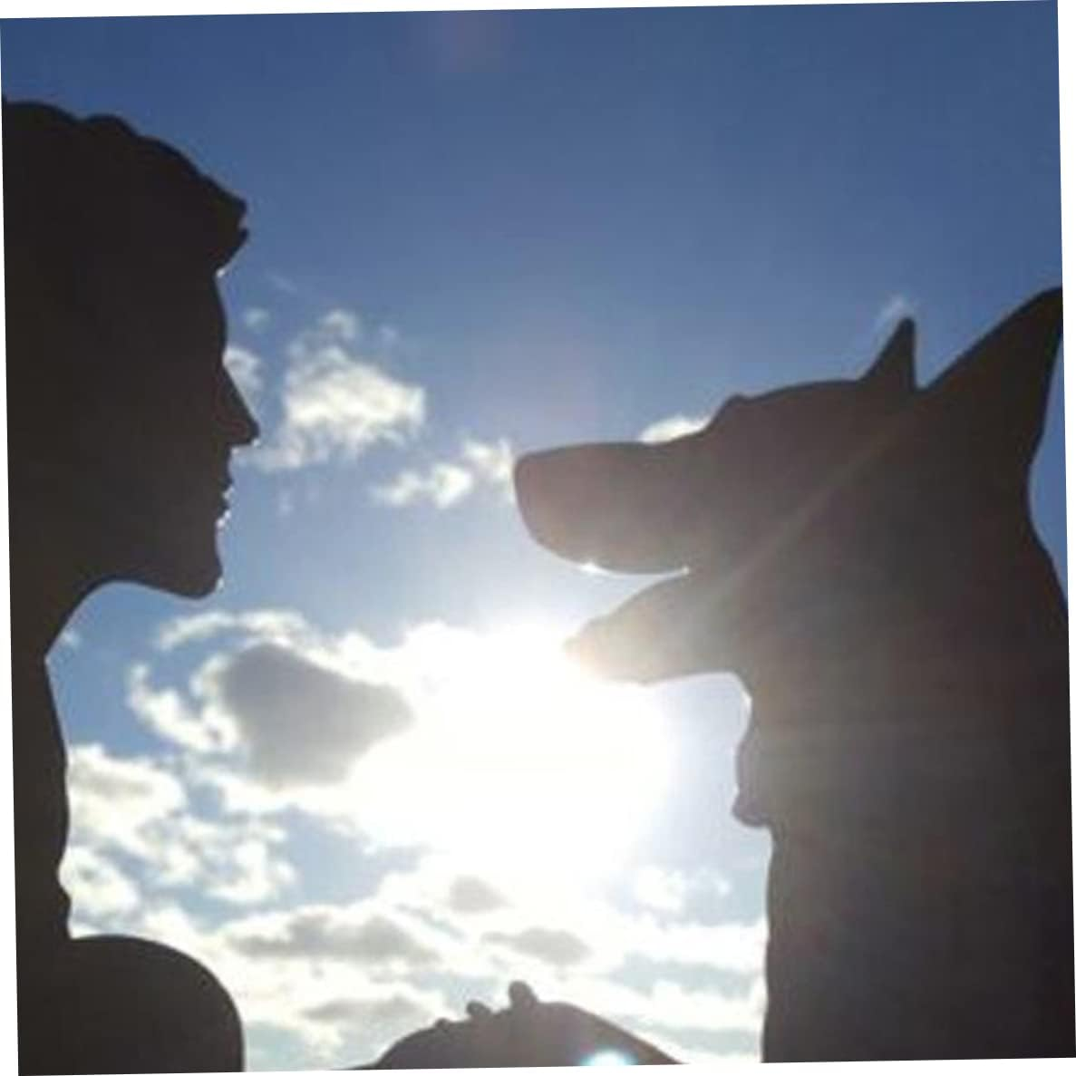 Weathervane Man Dog Weather Vane Decorative Garden Yard Wind Direction Indicator Garden Weather Vane image number 3