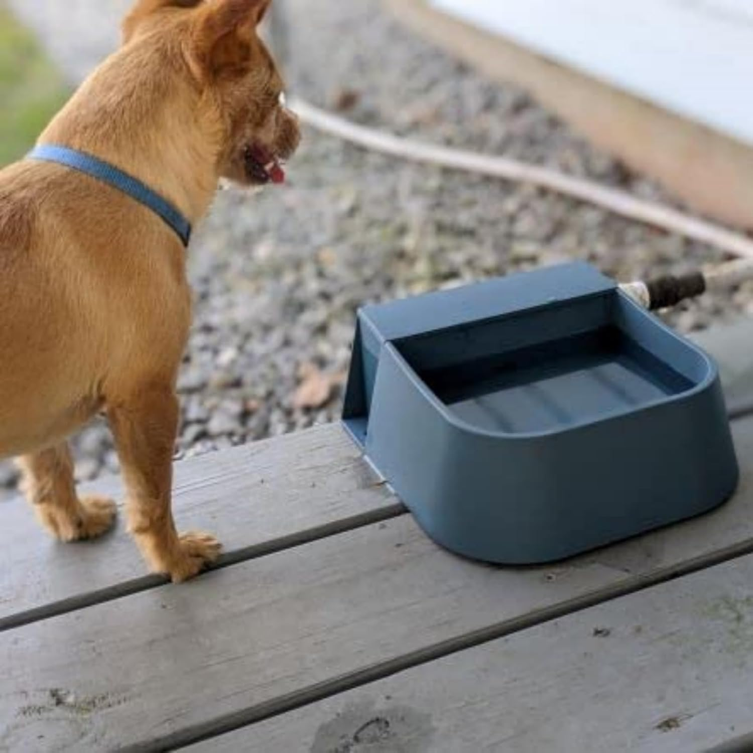 Enjoying Dog Automatic Waterer Bowl 2L Outdoor/Indoor Auto Pet Water Dispenser Float Valve Livestock Waterer for Dog Cat Chicken image number 1