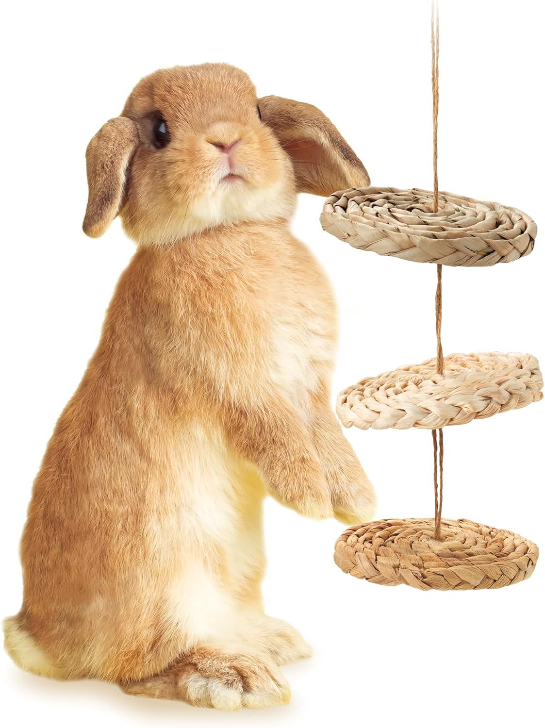 Minimal Land ML-683 Variety Disc, Ideal for Stress Relief and Teeth Care, Fits Rabbits, Guinea Pigs, Chinchillas, Hamsters image number 3