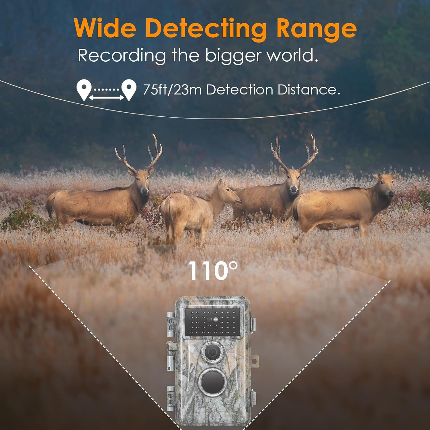 2-Pack Game & Trail Camera 64MP 1296P Video No Glow Night Vision Motion Activated IP66 Waterproof 0.3 Trigger Speed for Hunting Wildlife & Home Surveillance image number 3