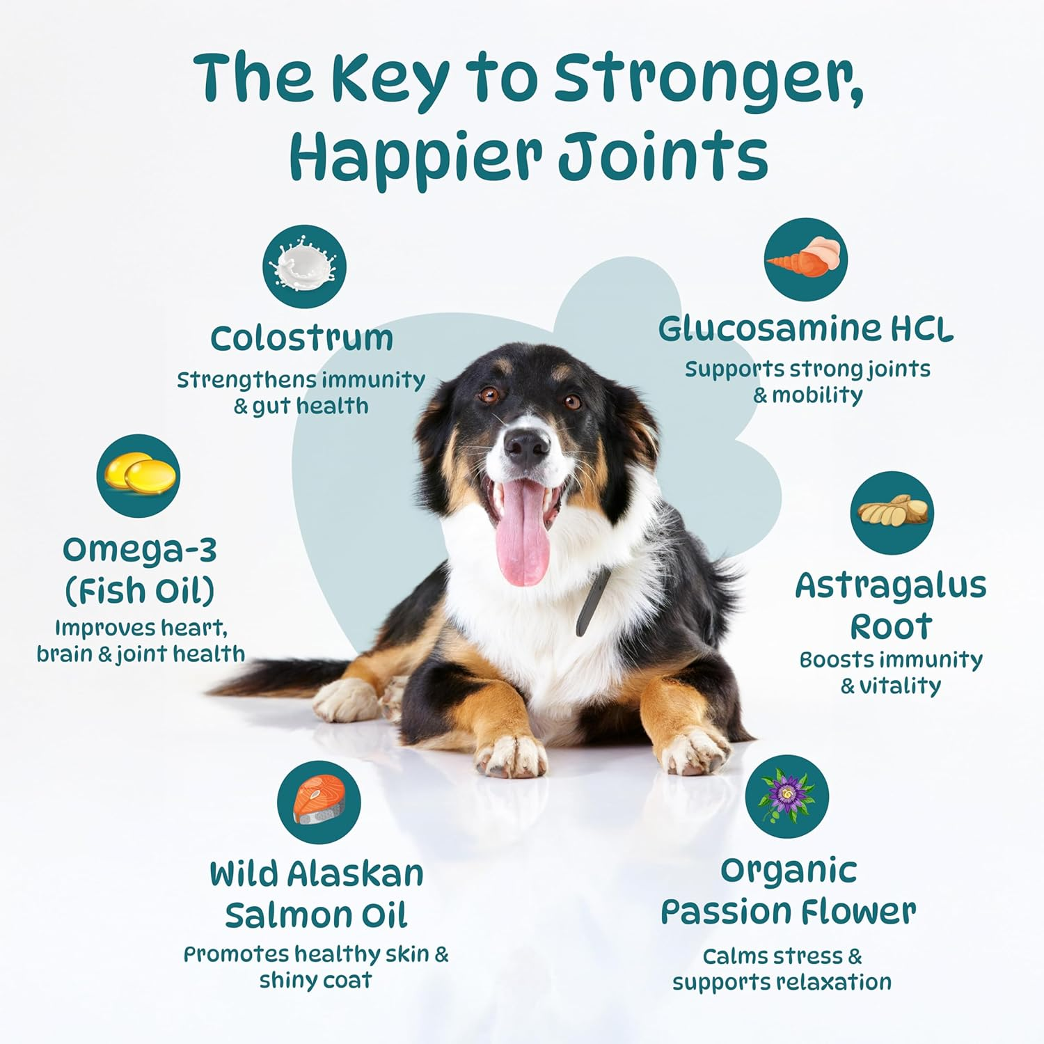 25 in 1 Multivitamins for Dogs, Dog Supplements, Minerals with Omega 3 Fish Oil, Glucosamine, Chondrian & Zinc for Joints, Digestion, Heart, Skin & Coat Care, (100 Soft Chews - Chicken Flavor) image number 4