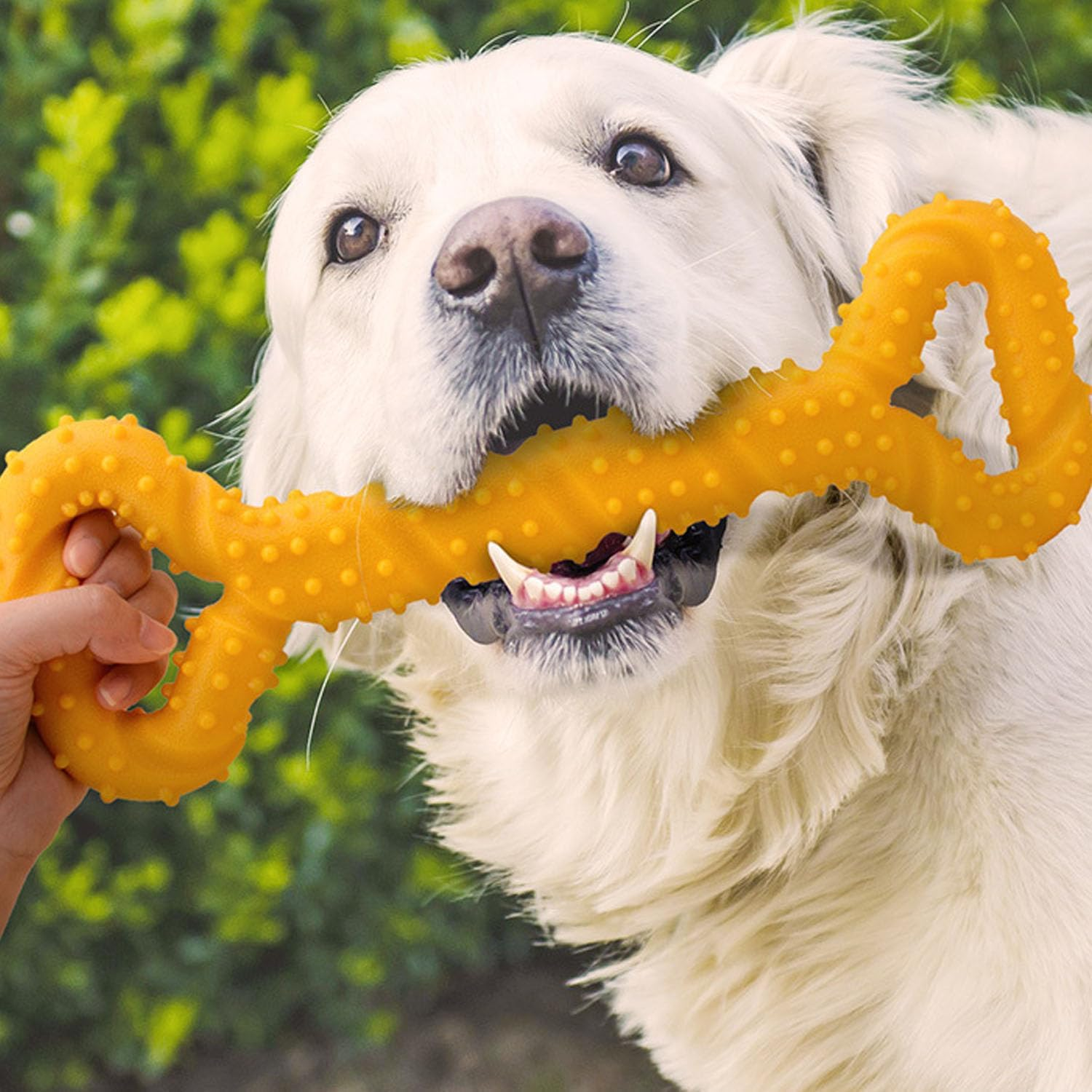 Dog Chew Toy for Large Dogs, Indestructible Bone for Aggressive Chewers, Teething Bone Toy, Dog Bone Toy, Dental Health & Teething Relief, (Yellow) image number 6