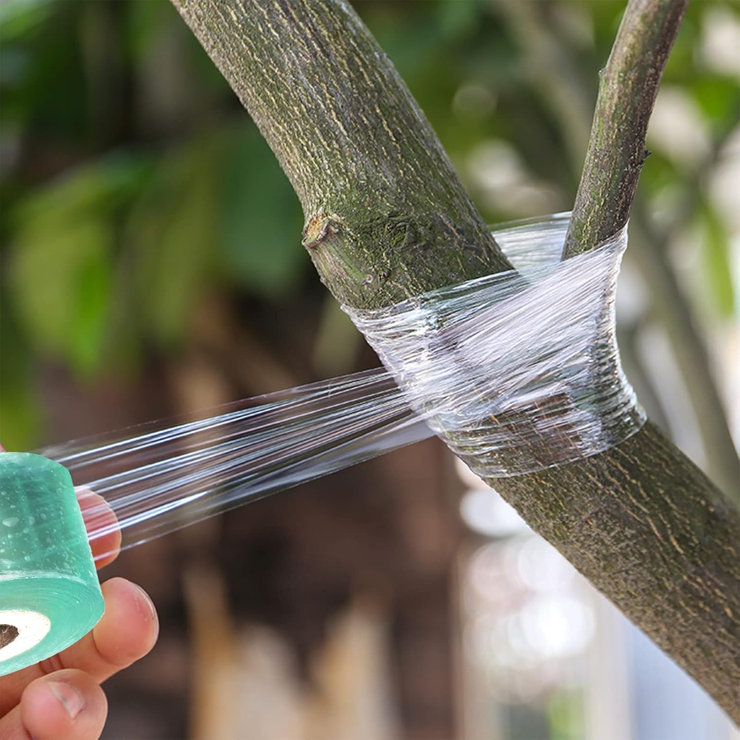 Grafting Tape 2 Pack Plants Repair Budding Tapes, PVC Stretchable Garden Grafting Tape, Stretchable Floristry Film, Plants Repair Tapes for Floral Fruit Tree and Poly Budding Tape image number 6