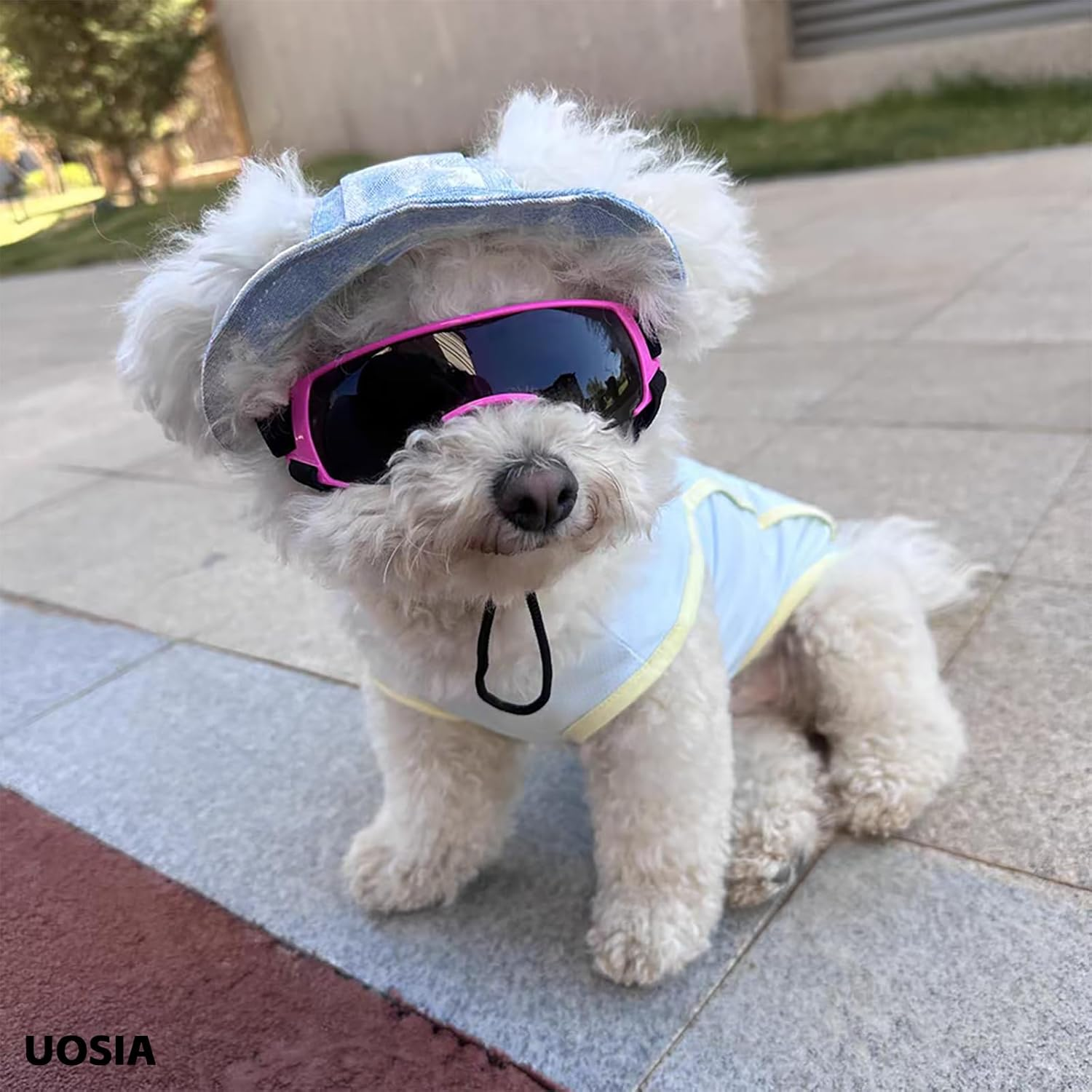 UOSIA Dog Helmet and Goggles for Small Dogs Summer Girl Dog Glasses Pet Motorcycle Helmet Hat Adjustable Dog Bike Helmet for Outdoor Driving Riding - Goggles image number 6