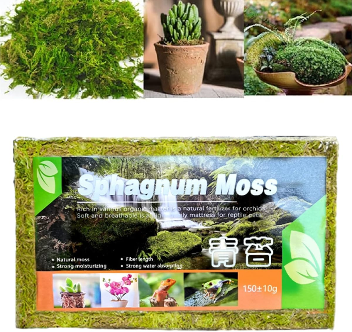 AIMALL Compressed Natural Moss Mat 8.27X4.92 Inch Moisturising Substrate Pad for Tortoise Snake Lizard Reptile Terrarium Bedding Organic Breathable Soil Cover