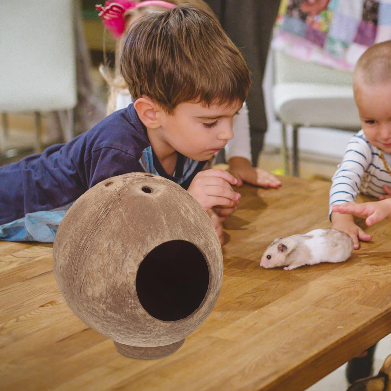 BCOATH Coconut Hamster Hideout Natural Material for Small Animals Wear-Resistant Safe Toy image number 2