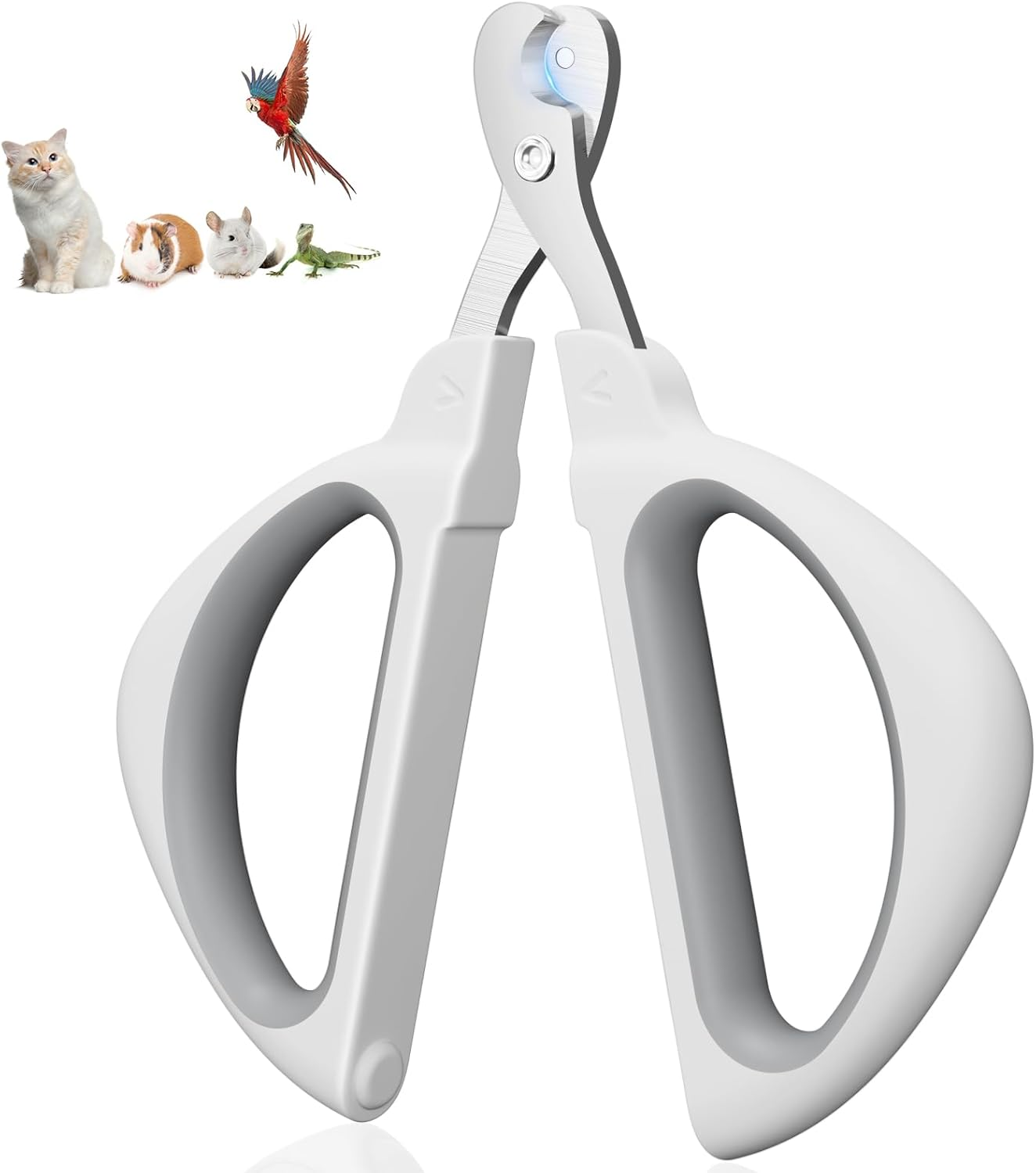 Euqvunn Cat Nail Clippers, Professional Cuts Nails Kittens with Safe Positioning Hole, Scissors Cats Nails Suitable for Kittens, Rabbits, Guinea Pigs, Puppies and Small Animals (Blue)