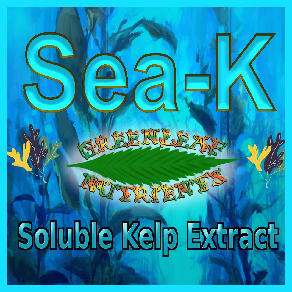 Seaweed and Kelp Hydroponic Nutrient for Plants - Organic Sea-K - Concentrated Extract Powder Nutrient Makes 700 Liters image number 4