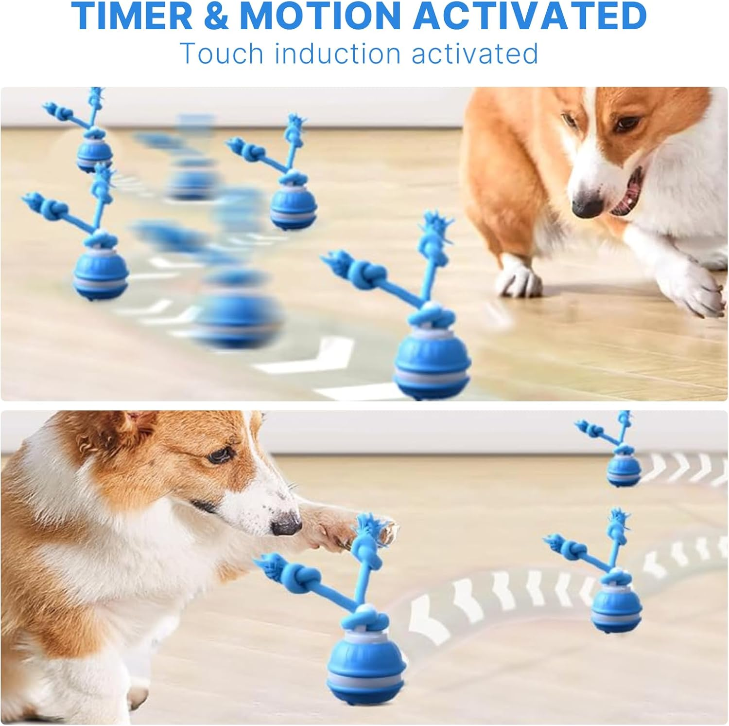 Velmoriah Interactive Dog Ball Toys, 2025 New Upgraded Motion-Activated Rolling Ball with Squeaky Sound & Stimulation, USB Rechargeable Bouncing Ball for Cat & Puppies & Medium Dogs image number 3