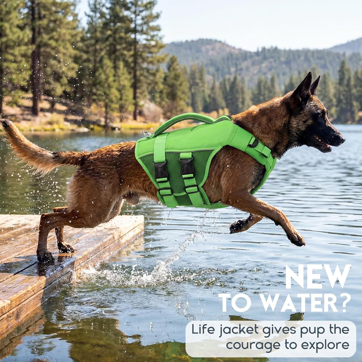 ASENKU Dog Life Jacket - Pet Safety Vest for Swimming & Boating, Shark Life Jacket with Floatation, Dog Lifesavers Swimsuits for Small Medium Large Dogs (Green, XS) image number 3
