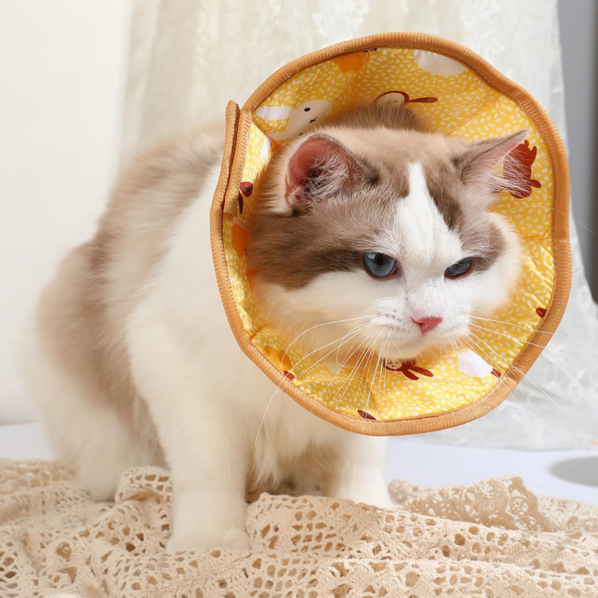 Cat Cone Collar Soft, Adjustable Pet Recovery Neck Donut to Stop Licking Protective Cat Neck Cone after Surgery Comfortable Lightweight Pet Elizabethan Collar for Dog Animal Kittens Puppies Rabbits image number 2