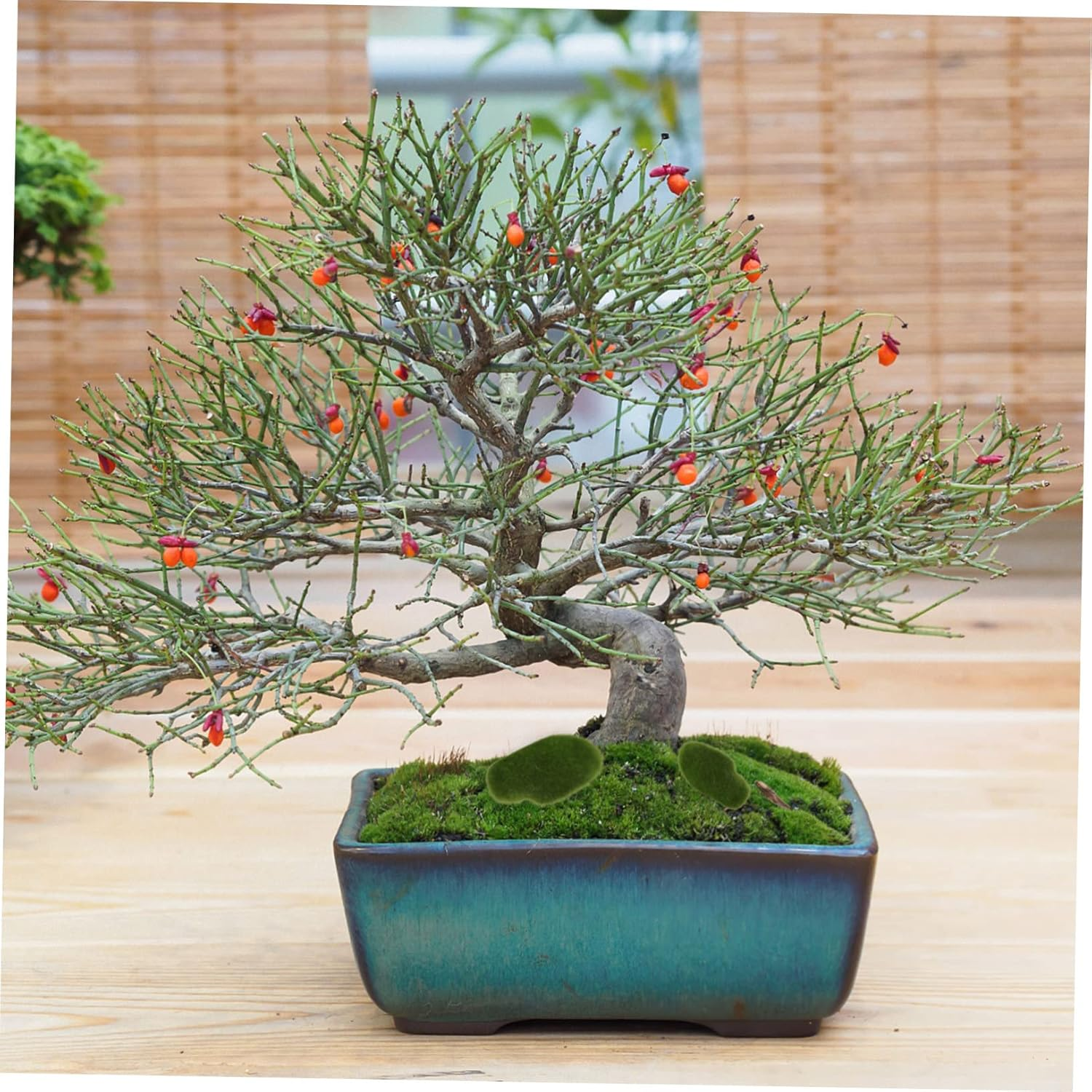 20Pcs Artificial Moss Stone Fish Tank Mossy Stone Faux Stone Simulated Mossy Stone Artificial Rock for Moss Miniatures Terrarium Moss Stones Vivid Mossy Landscape Stone Green Foam image number 1