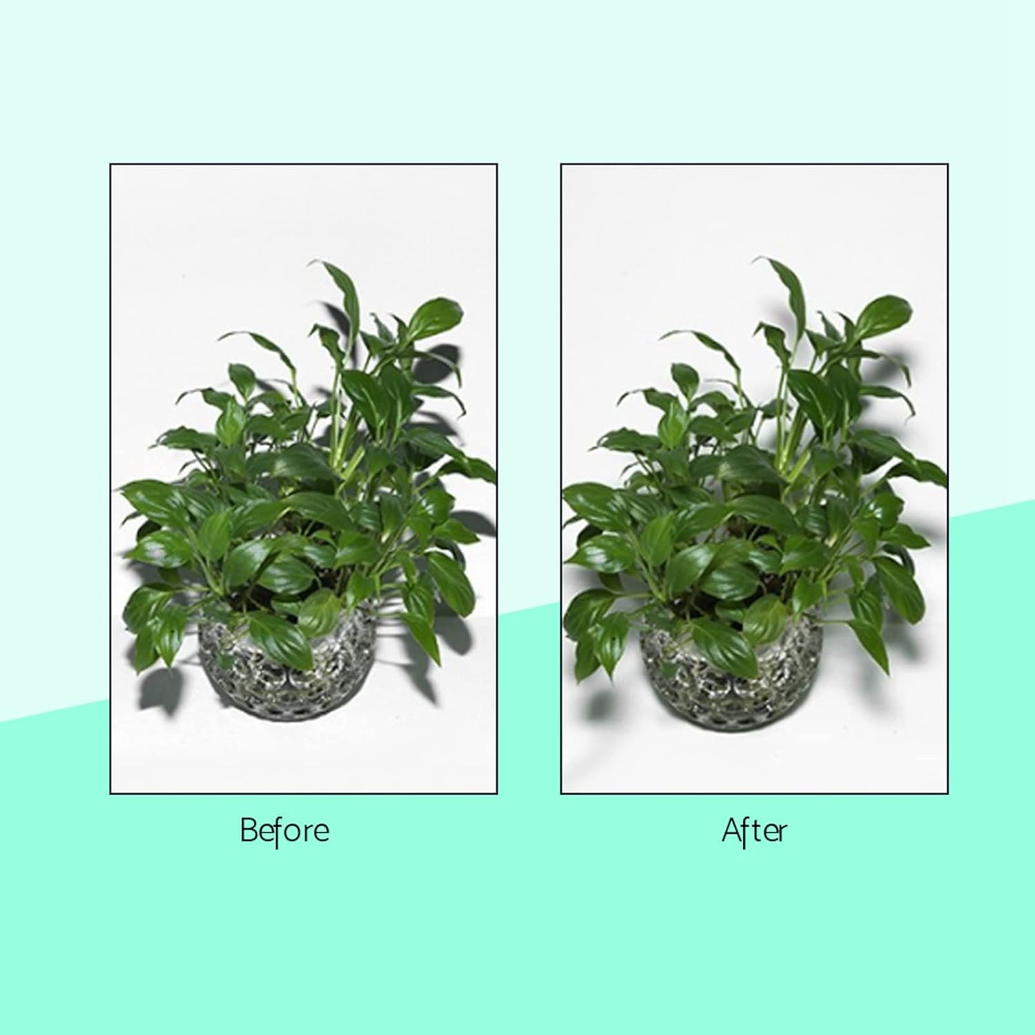 RASTKY Foldable Softbox Diffuser, Portable round Shape Speedlite Softbox with Pure White for Camera Flash Light, Helps to Eliminate Harsh Light and Shadow, Easy to Install and Remove, image number 2