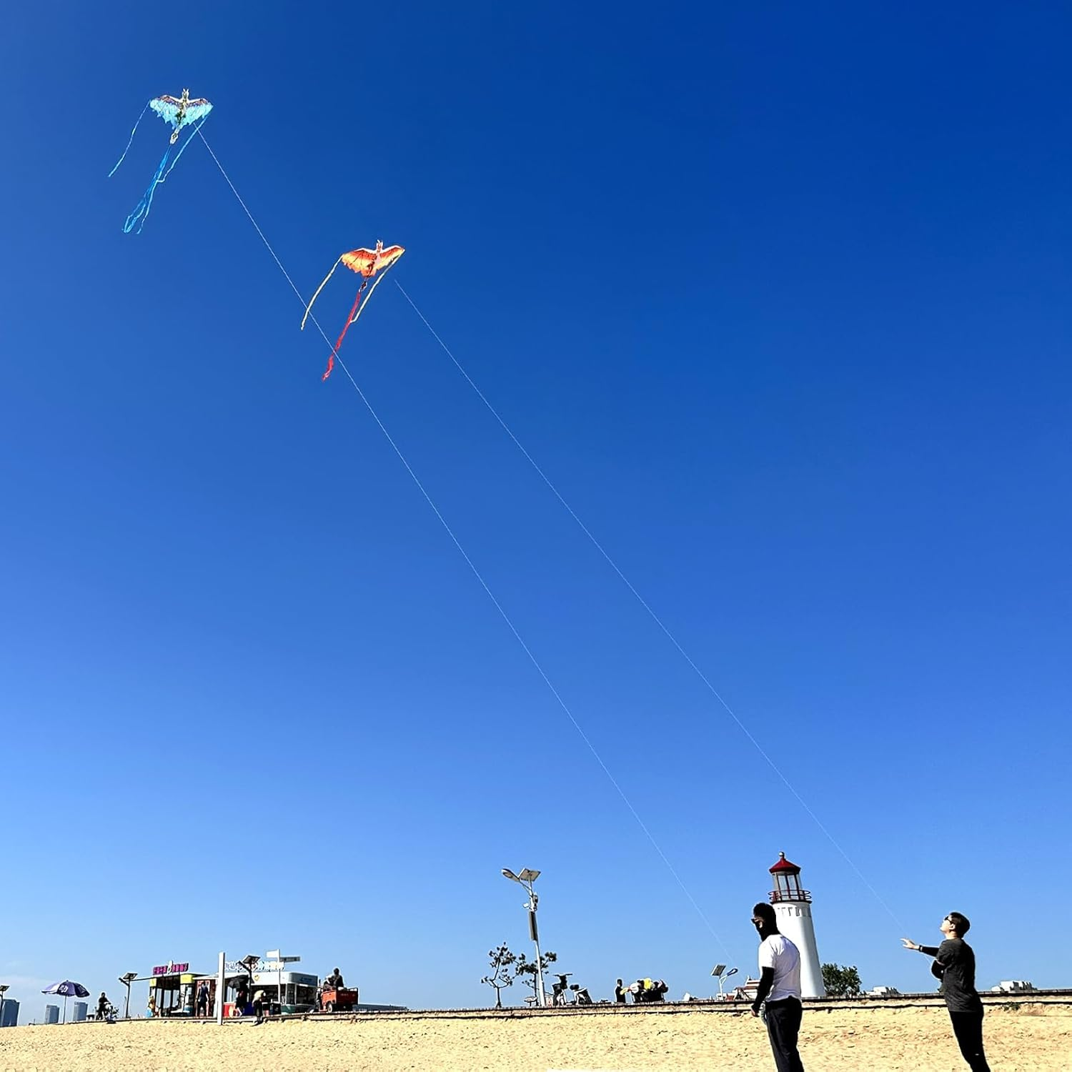 Mint'S Colorful Life Dragon Kite for Kids & Adults - Easy to Fly for Beginners, Large Single Line for Beach Trip with 300Ft String image number 4